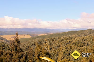 Hope Saddle Lookout Track
