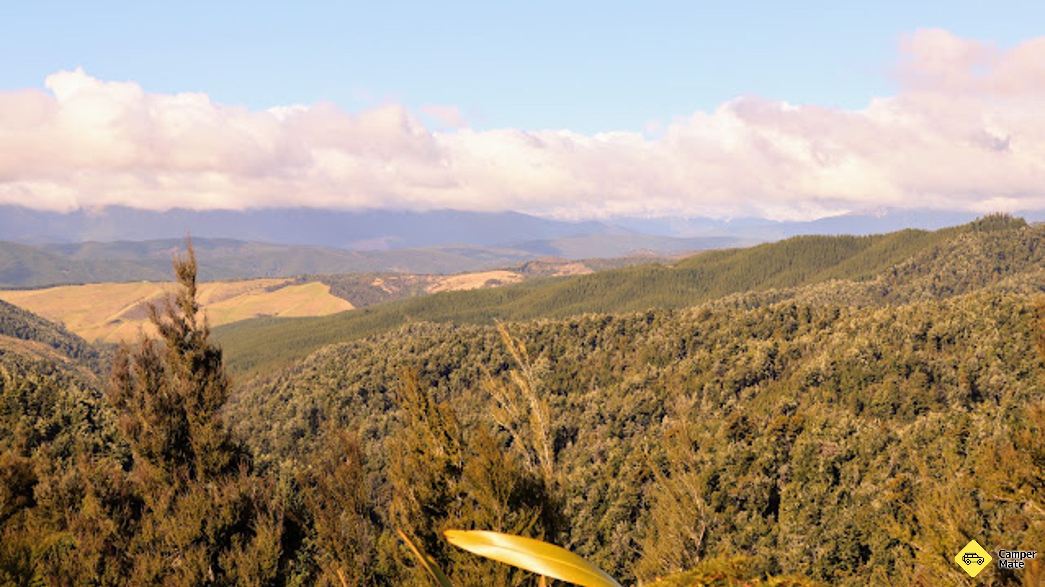 Hope Saddle Lookout Track