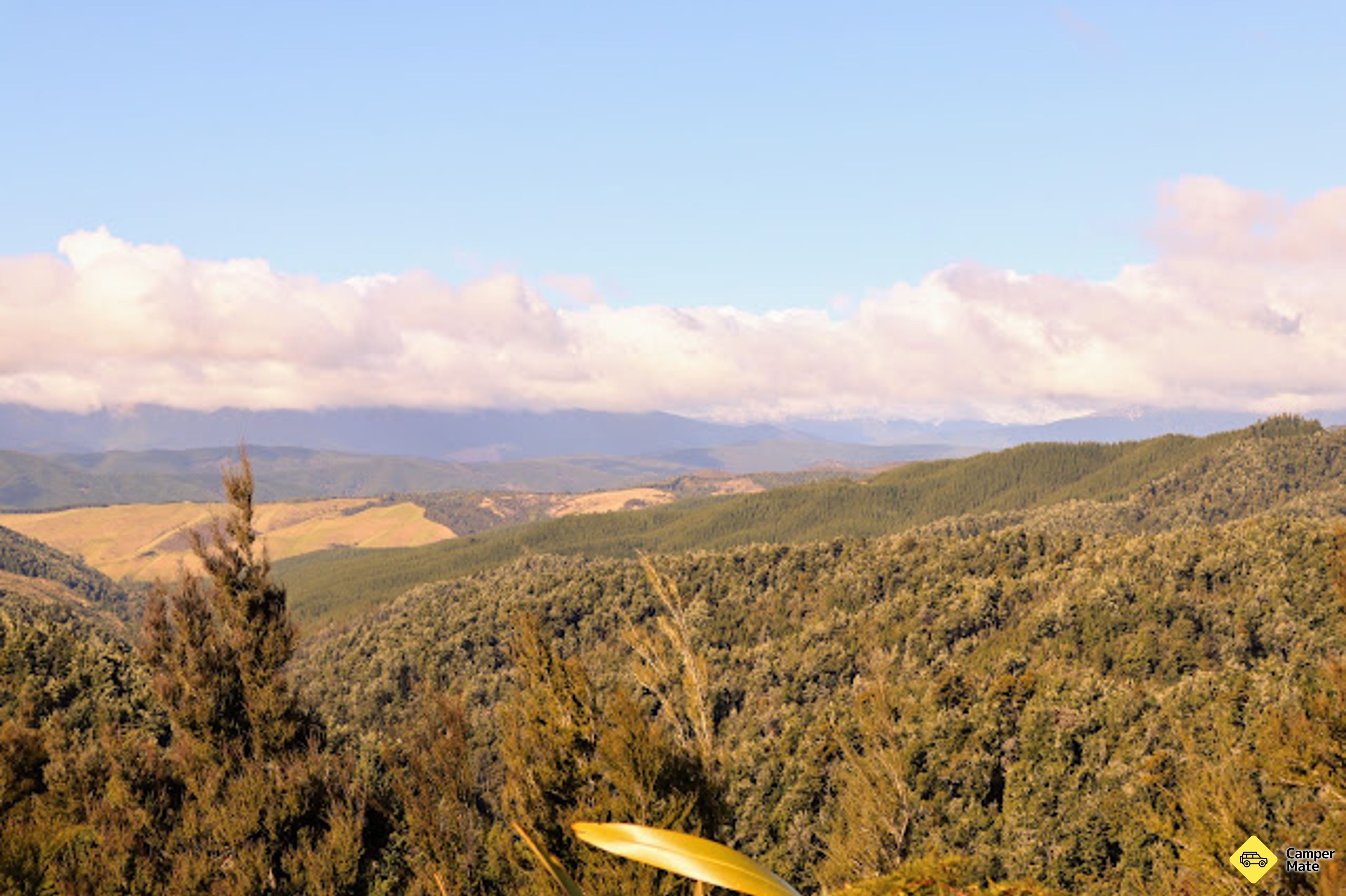Hope Saddle Lookout Track