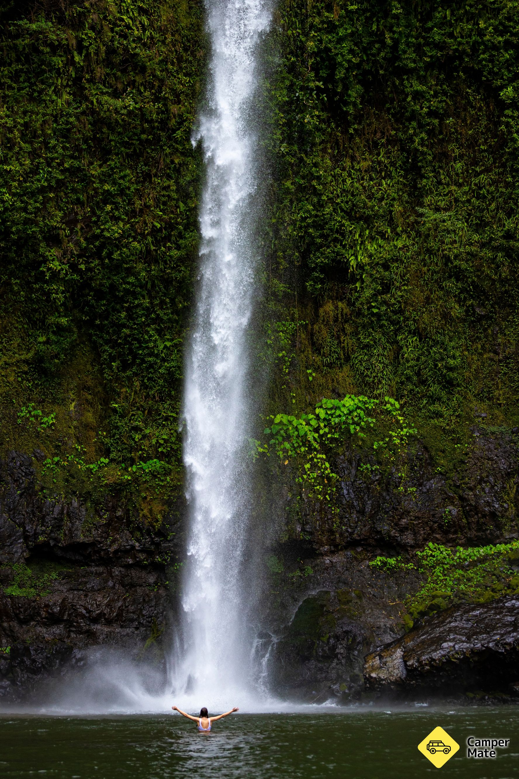 Nandroya Falls - Image 3