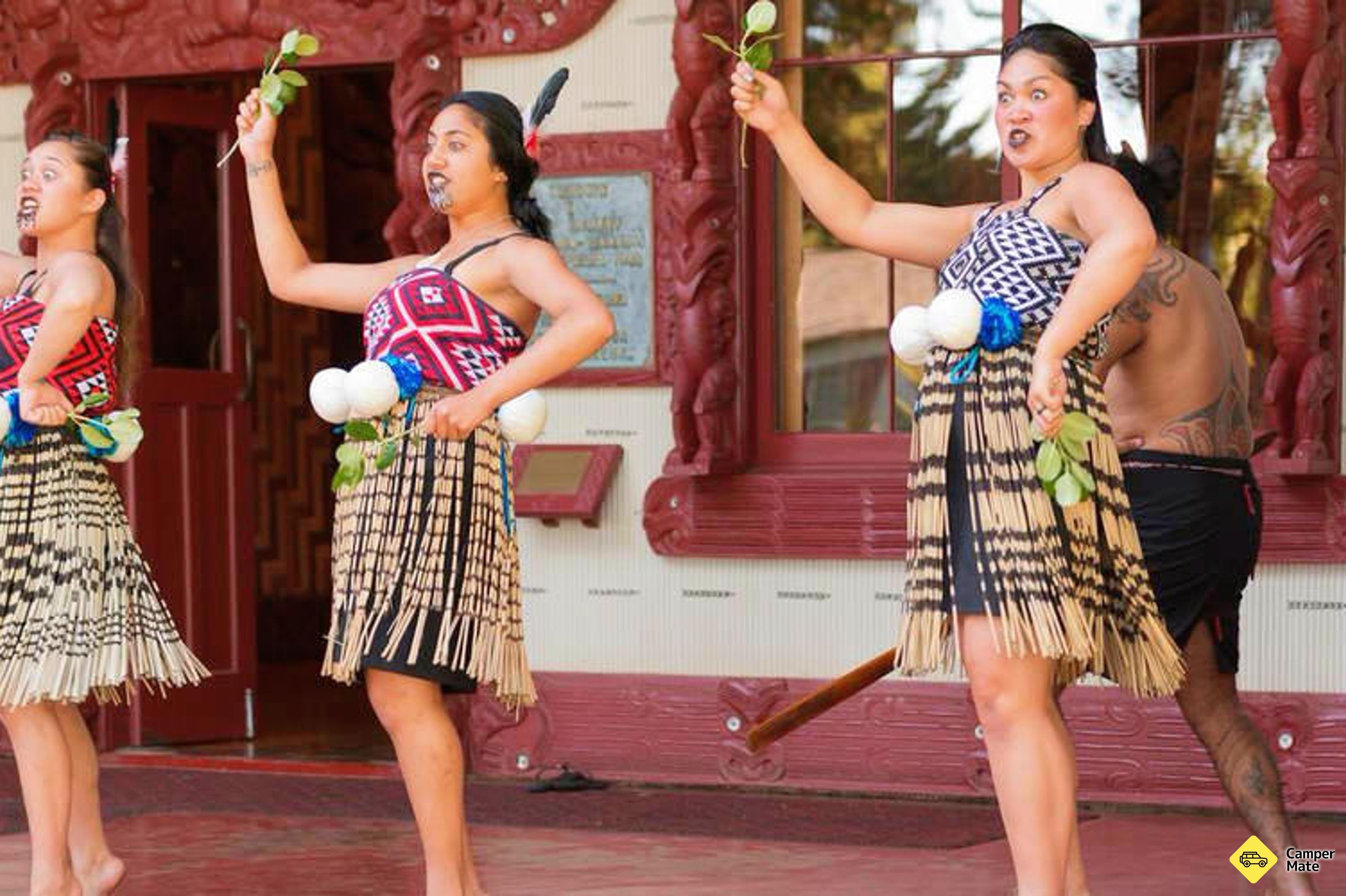 Podstawy Traktatu Waitangi - Image 2