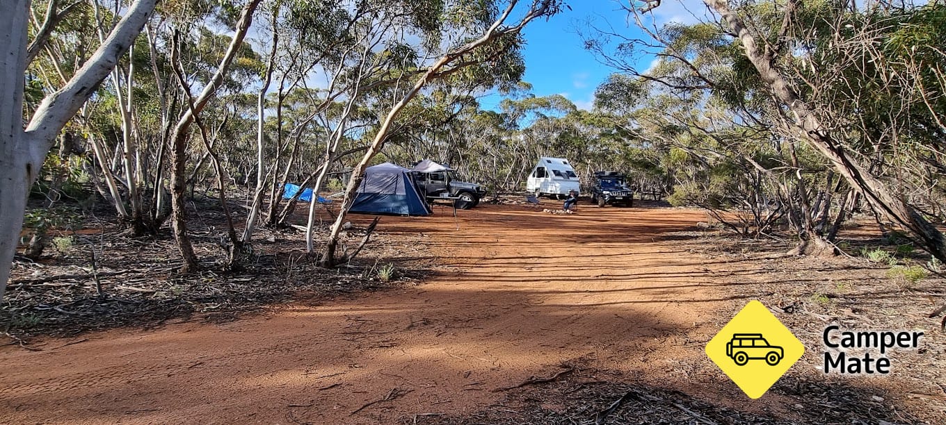 Swan Reach Conservation Park Camping