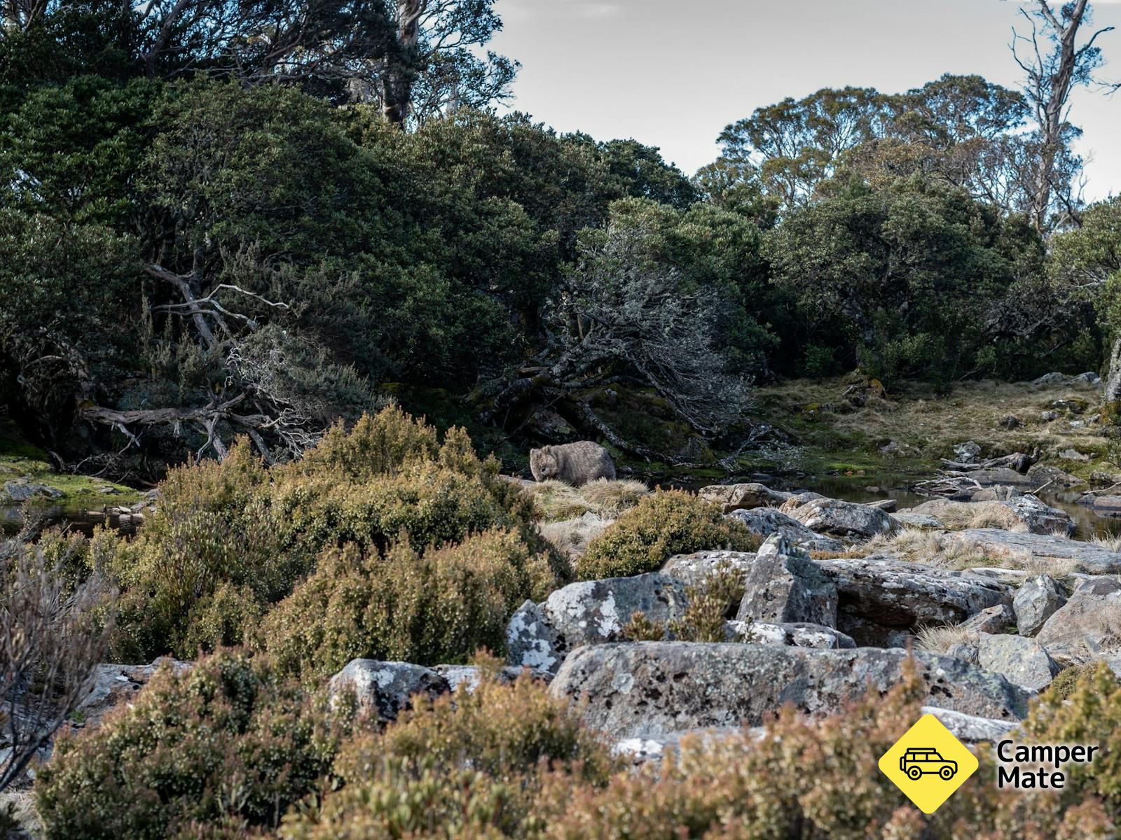 Ben Lomond Campground - Image 3