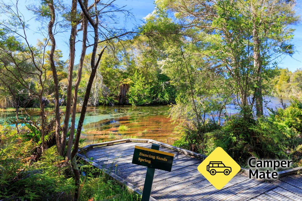 Te Waikoropupu Springs - Image 2