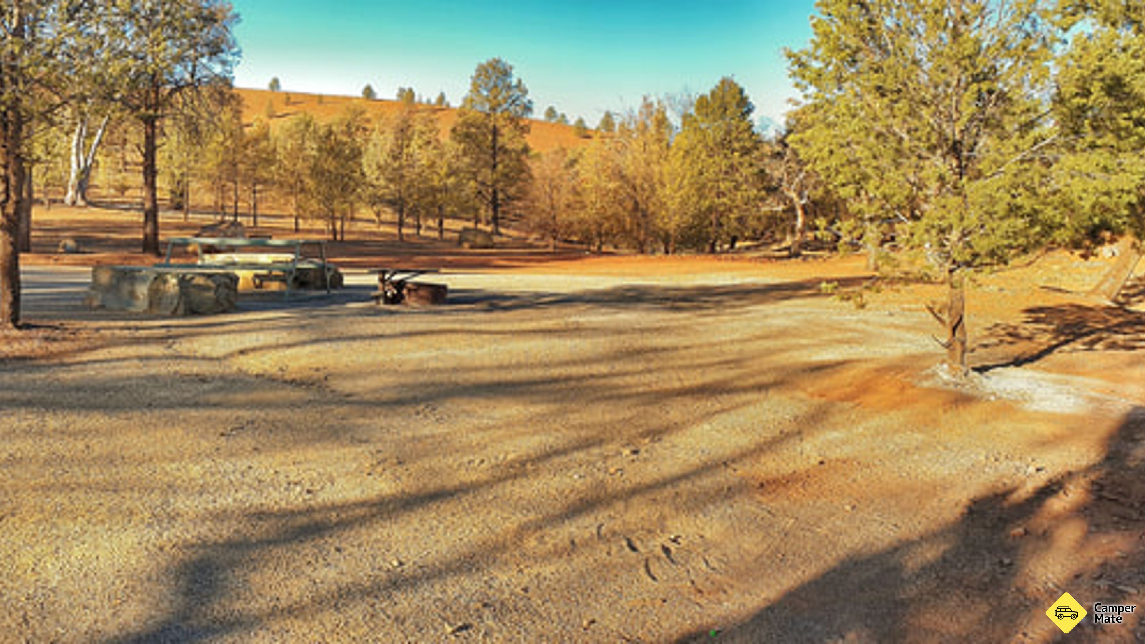 Skytrek Willow Springs Station