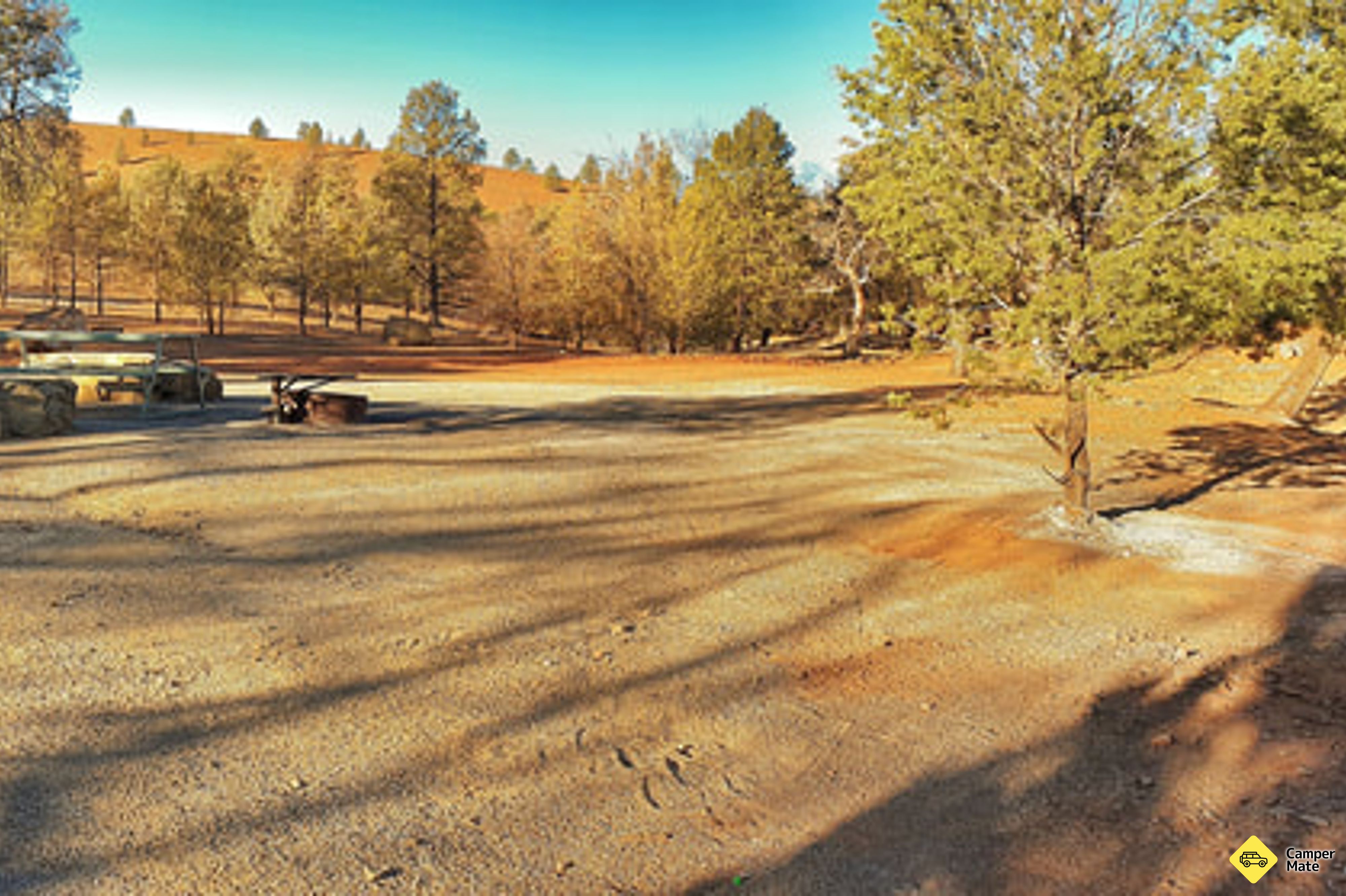 Skytrek Willow Springs Station