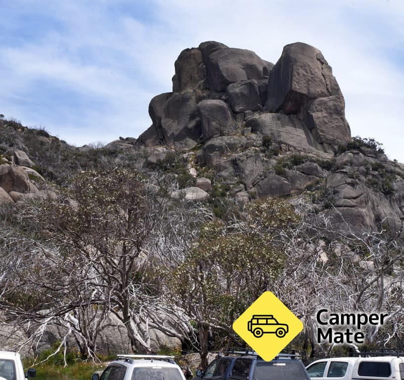 קתדרלה לHump Track - Image 3