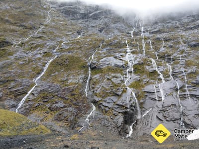 Fangorn Forest LOTR Film Locatie
