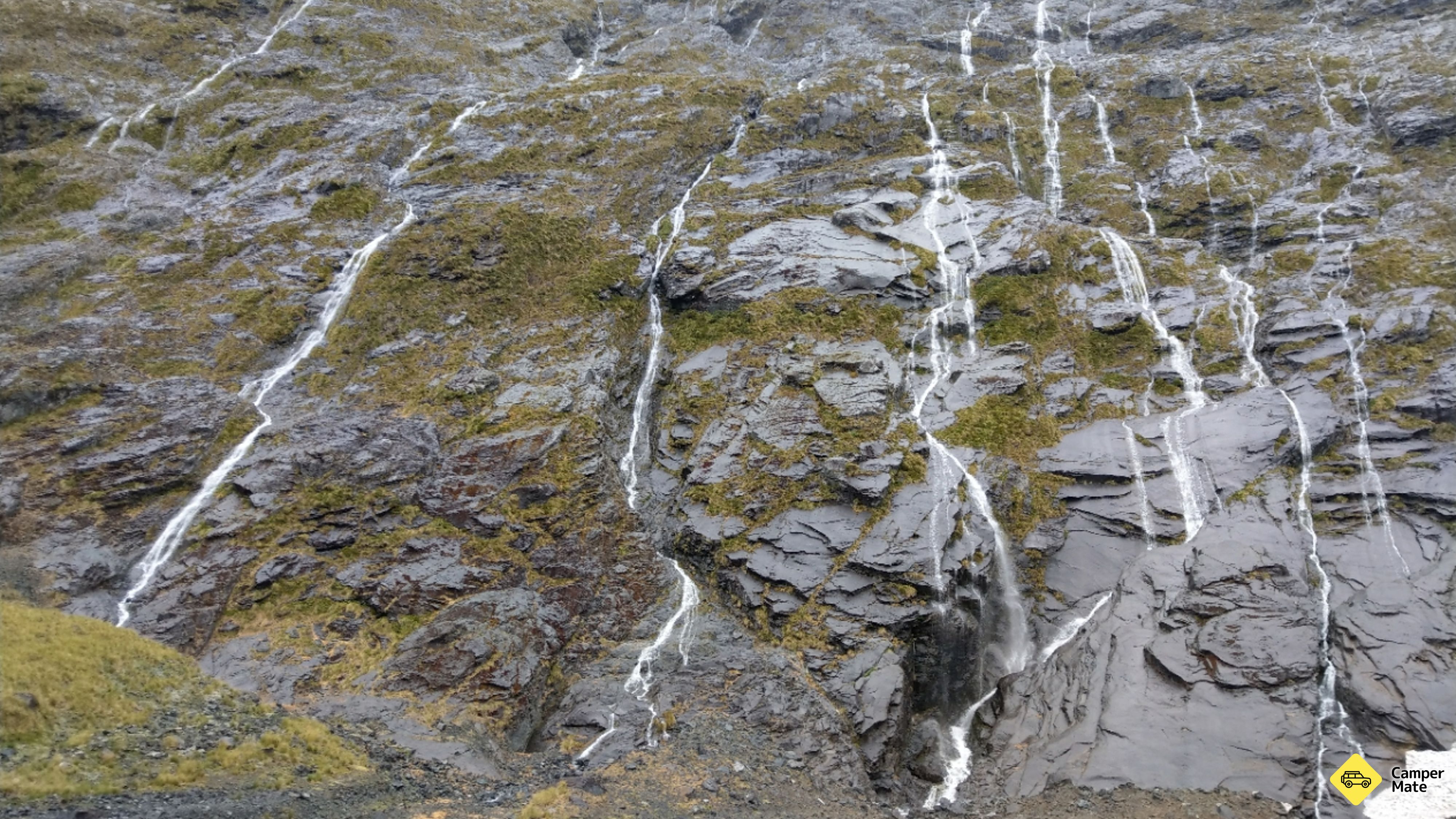 Fangorn Forest LOTR Film Locatie