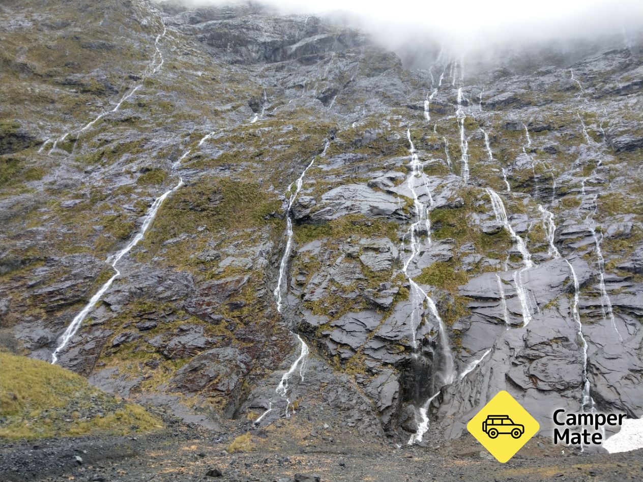 Fangorn Forest LOTR Film Locatie