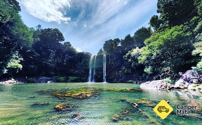 Whangarei Falls