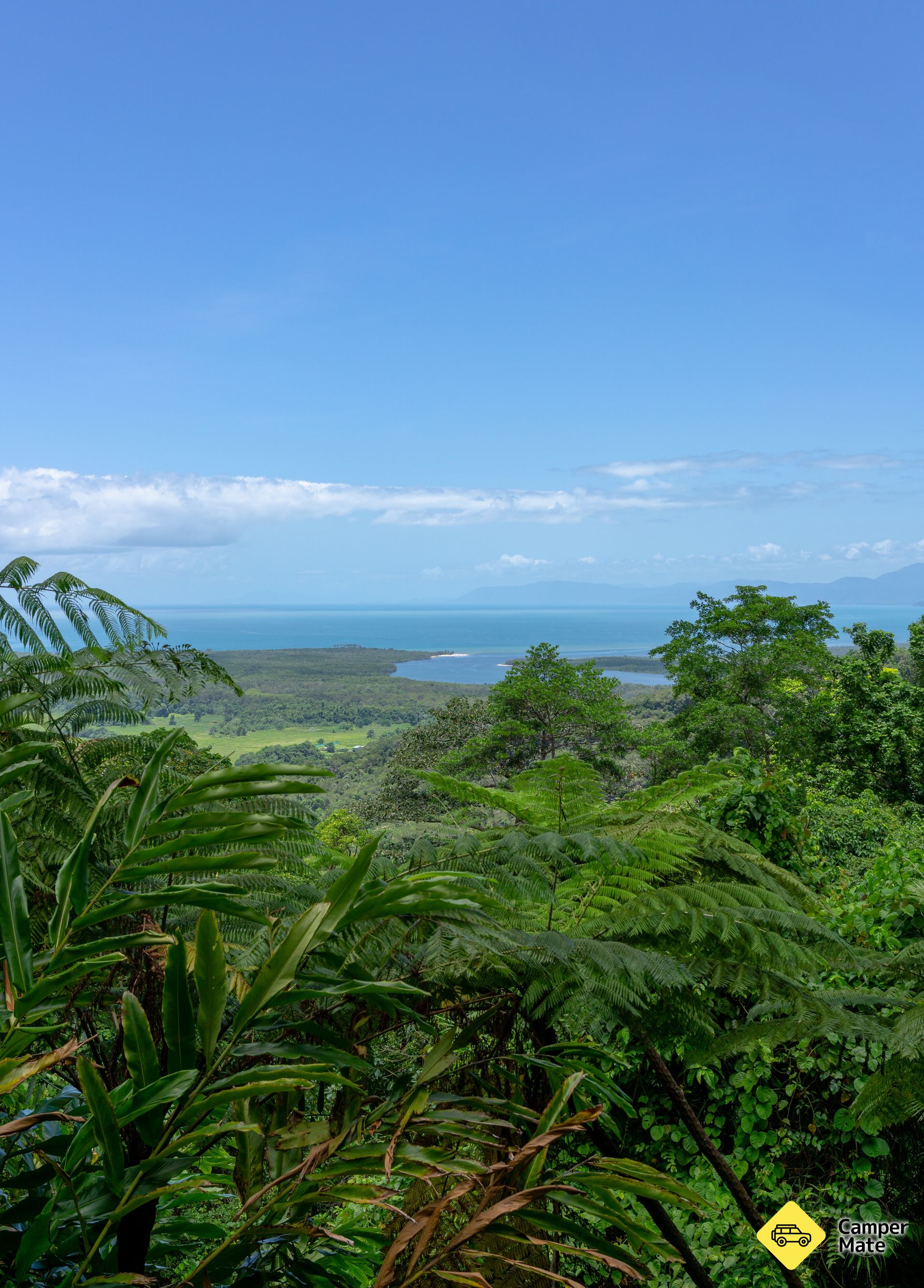 Mount Alexandra Lookout