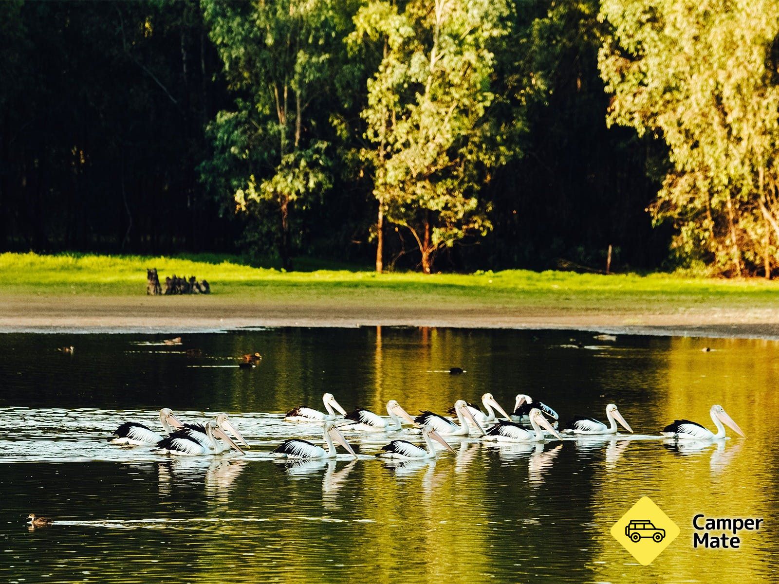 Wonga Wetlands - Image 2