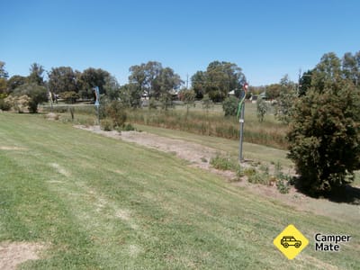Cootamundra vogelwandeling