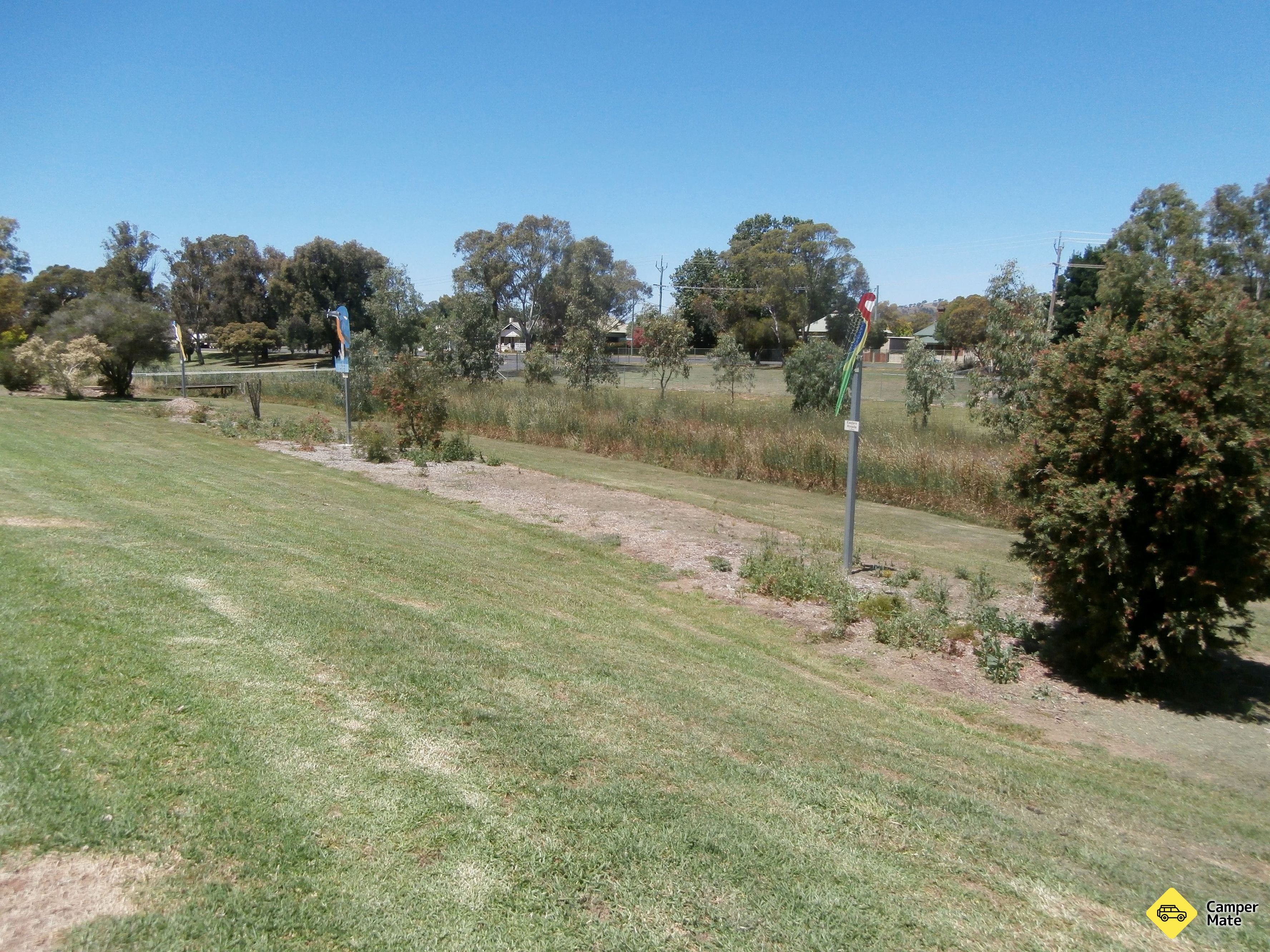 Cootamundra vogelwandeling