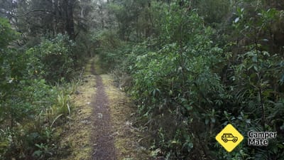 Six Mile Walk
