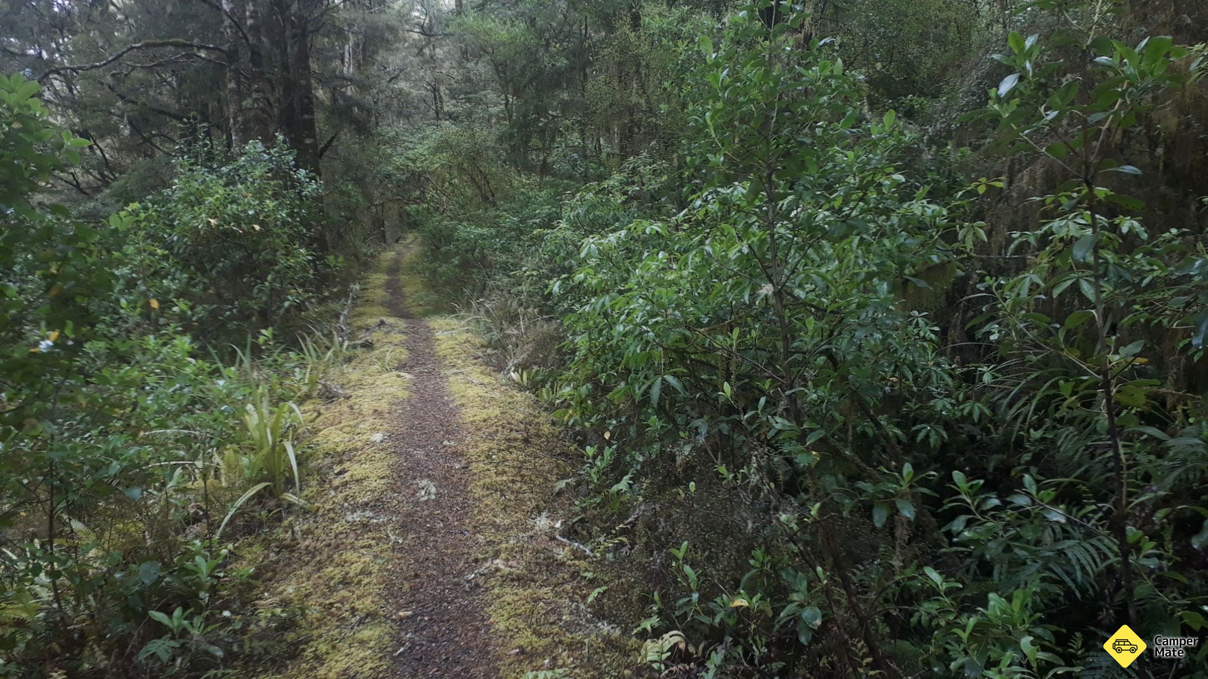 Six Mile Walk