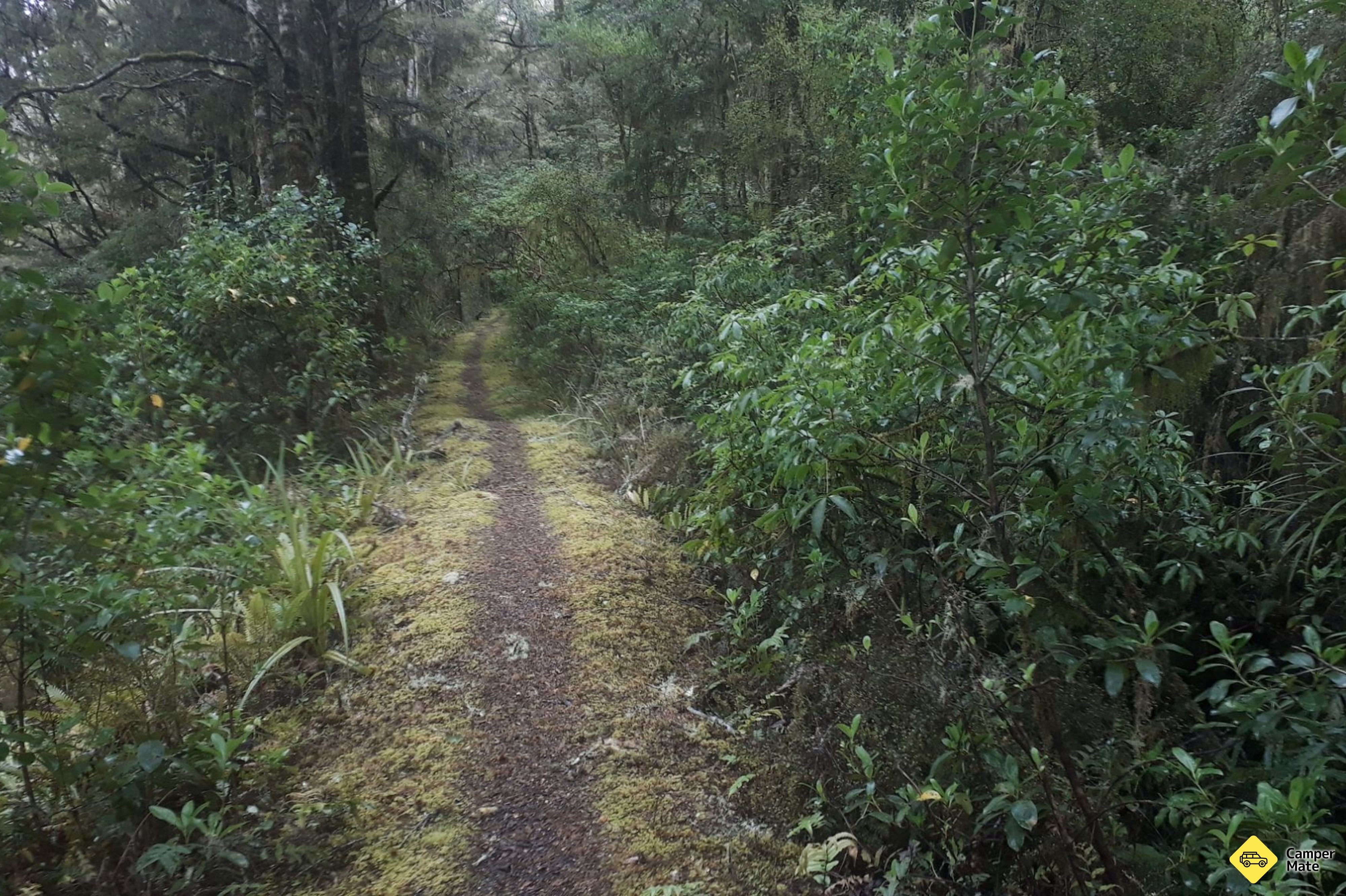 Six Mile Walk