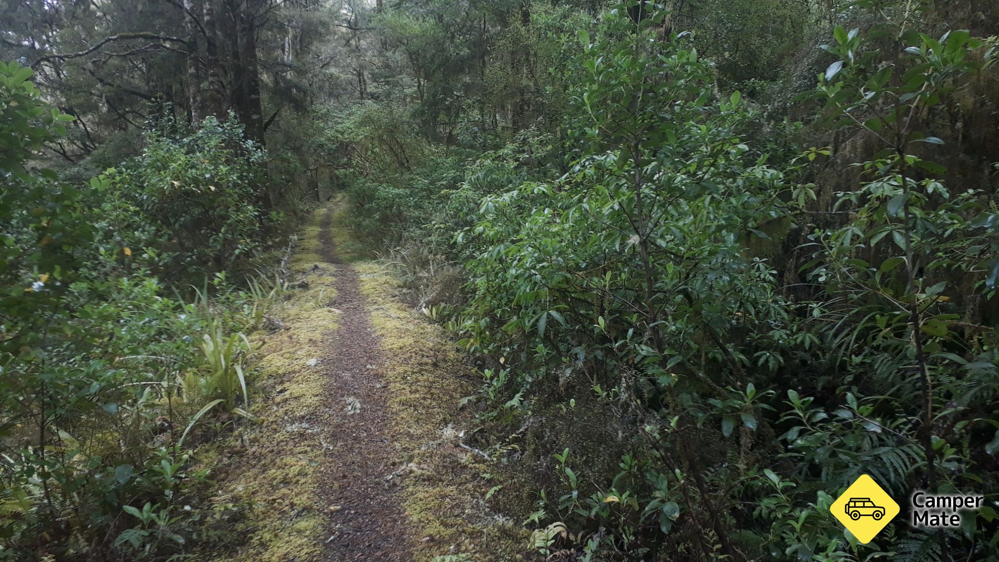Six Mile Walk