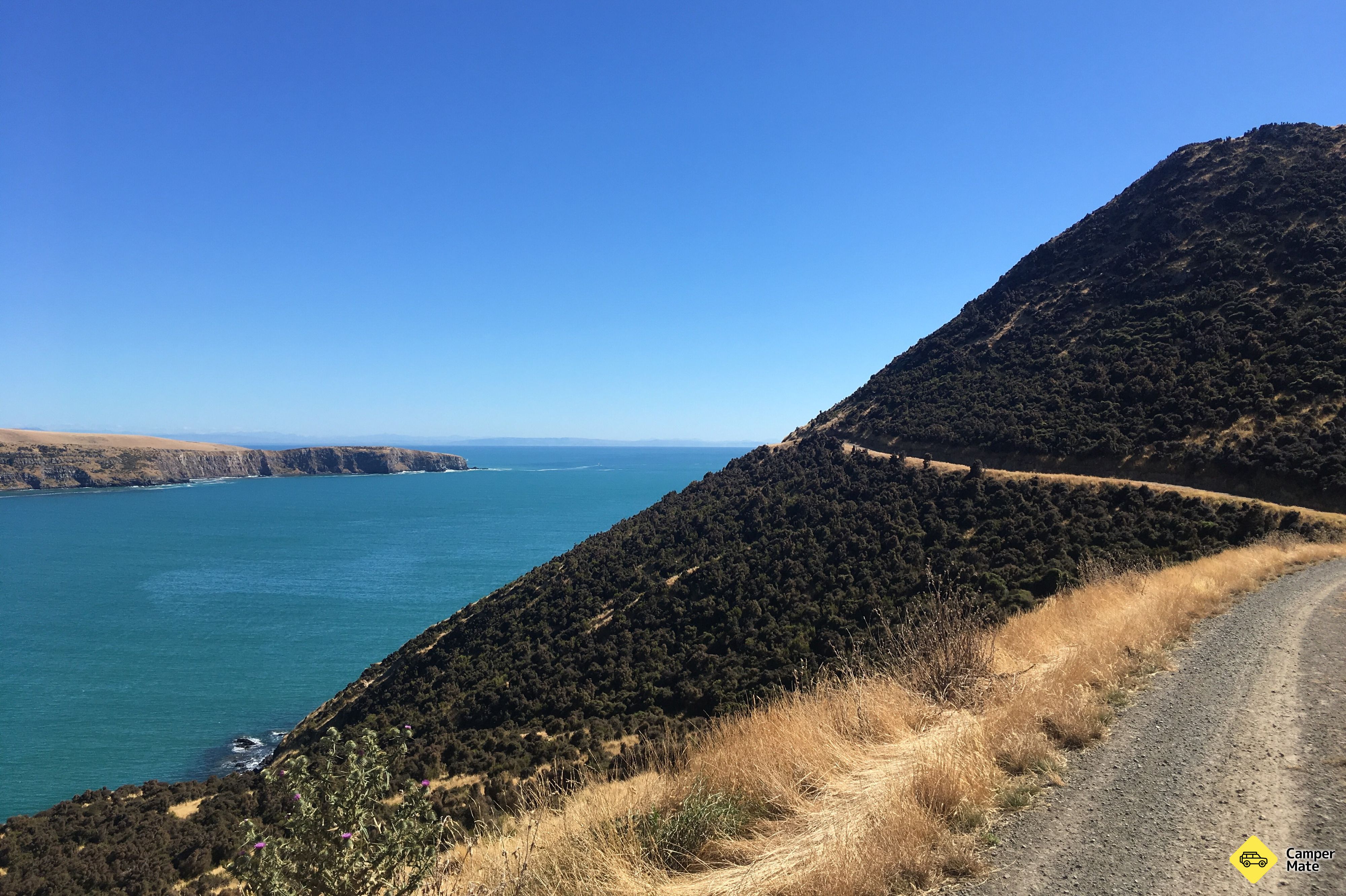 Læs mere om Pigeon Bay Walkway