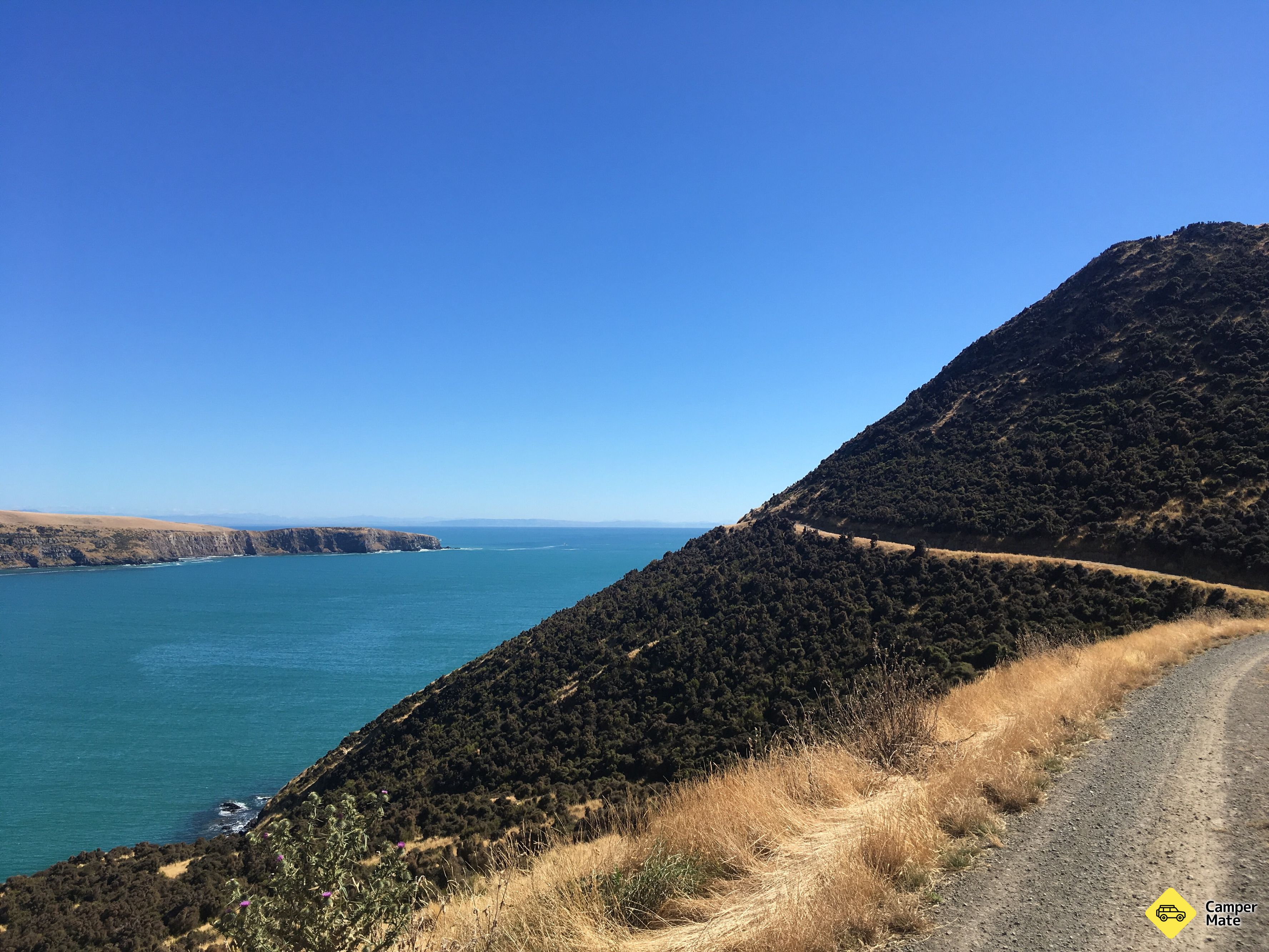 Læs mere om Pigeon Bay Walkway