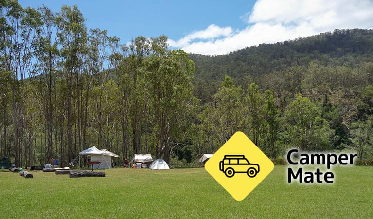 Dalmorton Campground