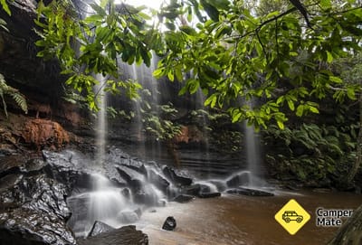 Somersby Falls Walking Track