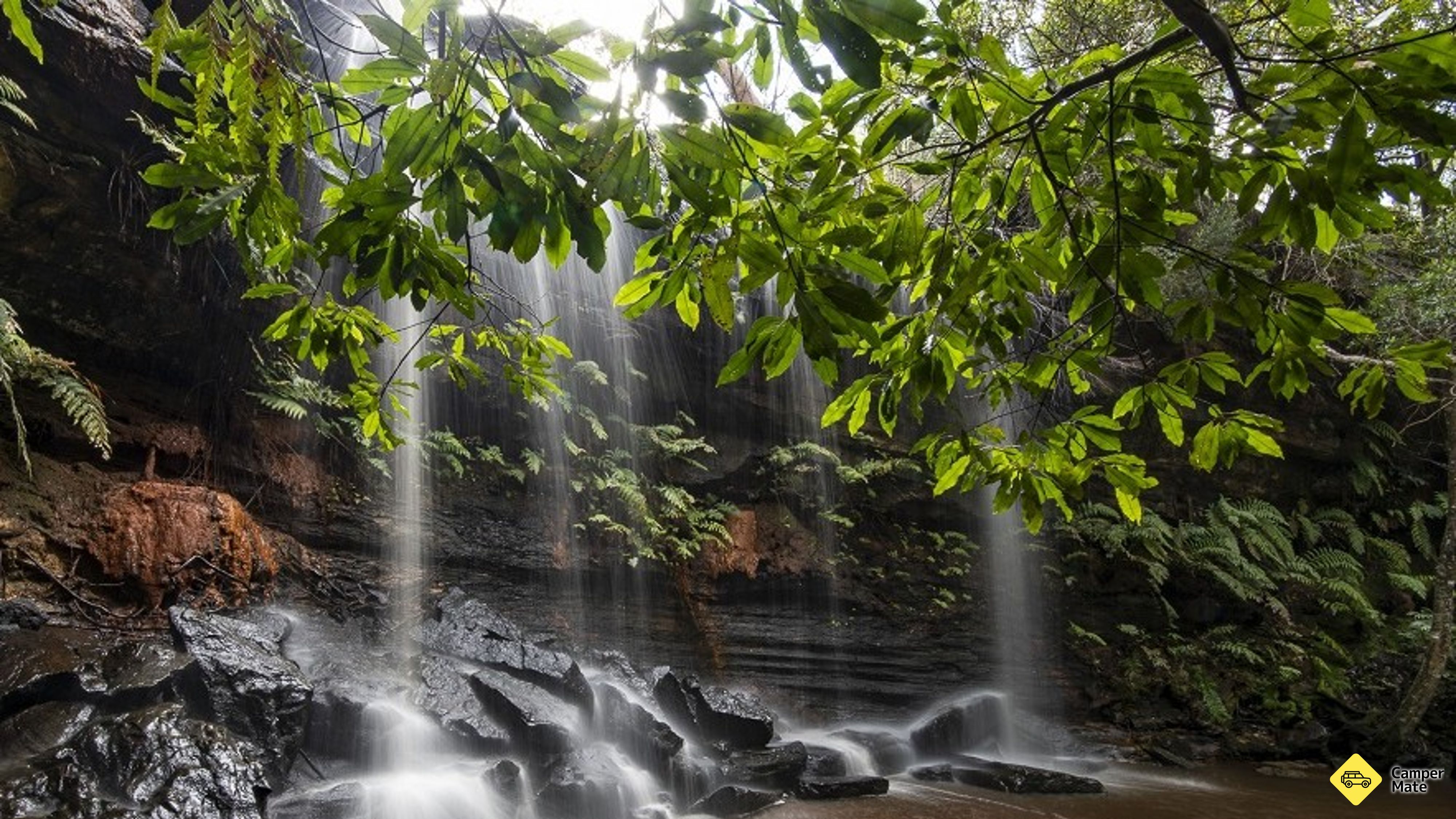 Somersby Falls Walking Track