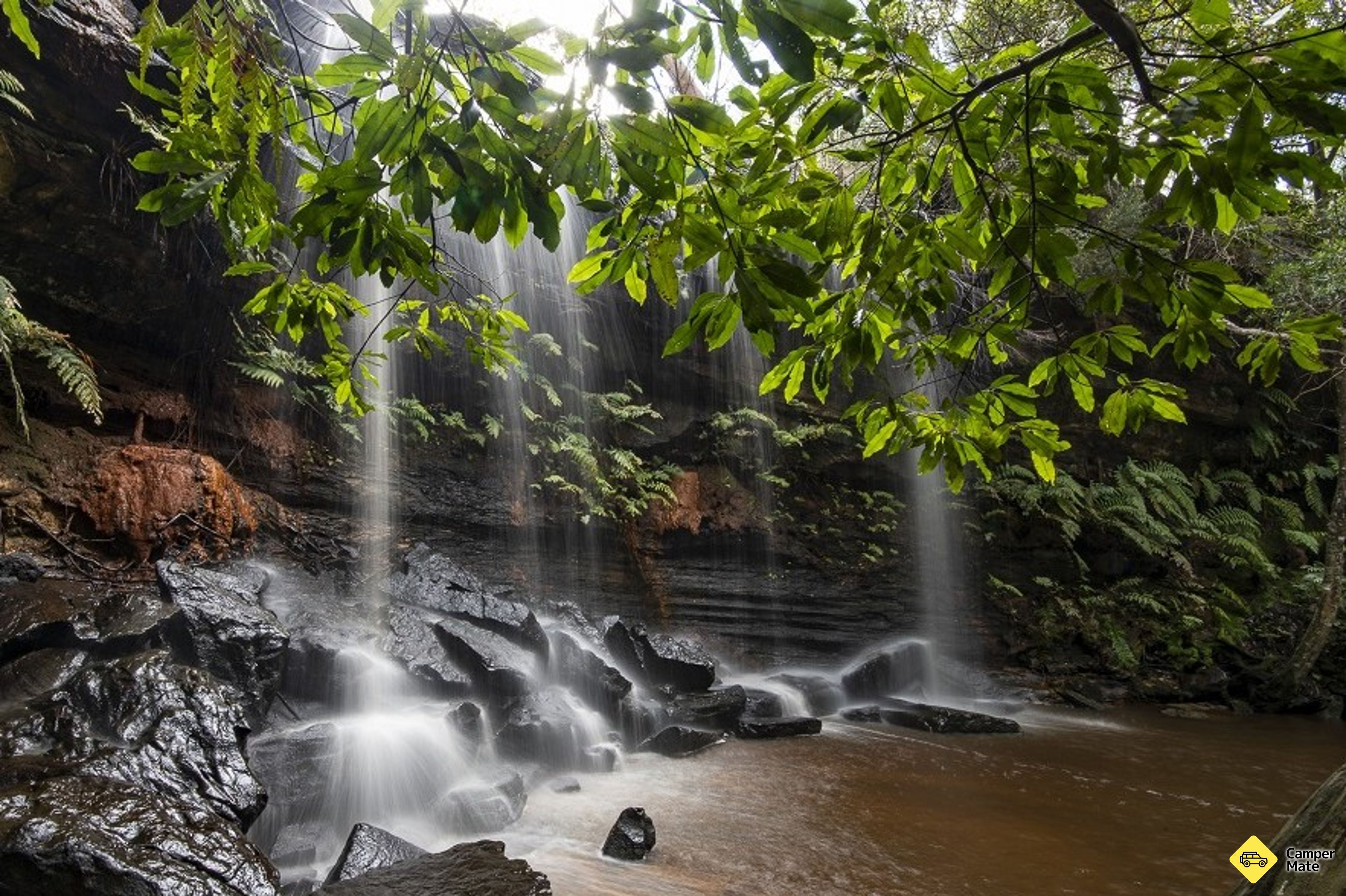 Somersby Falls Walking Track