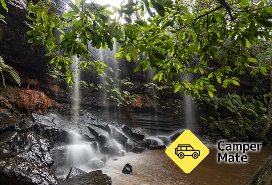 Somersby Falls Walking Track
