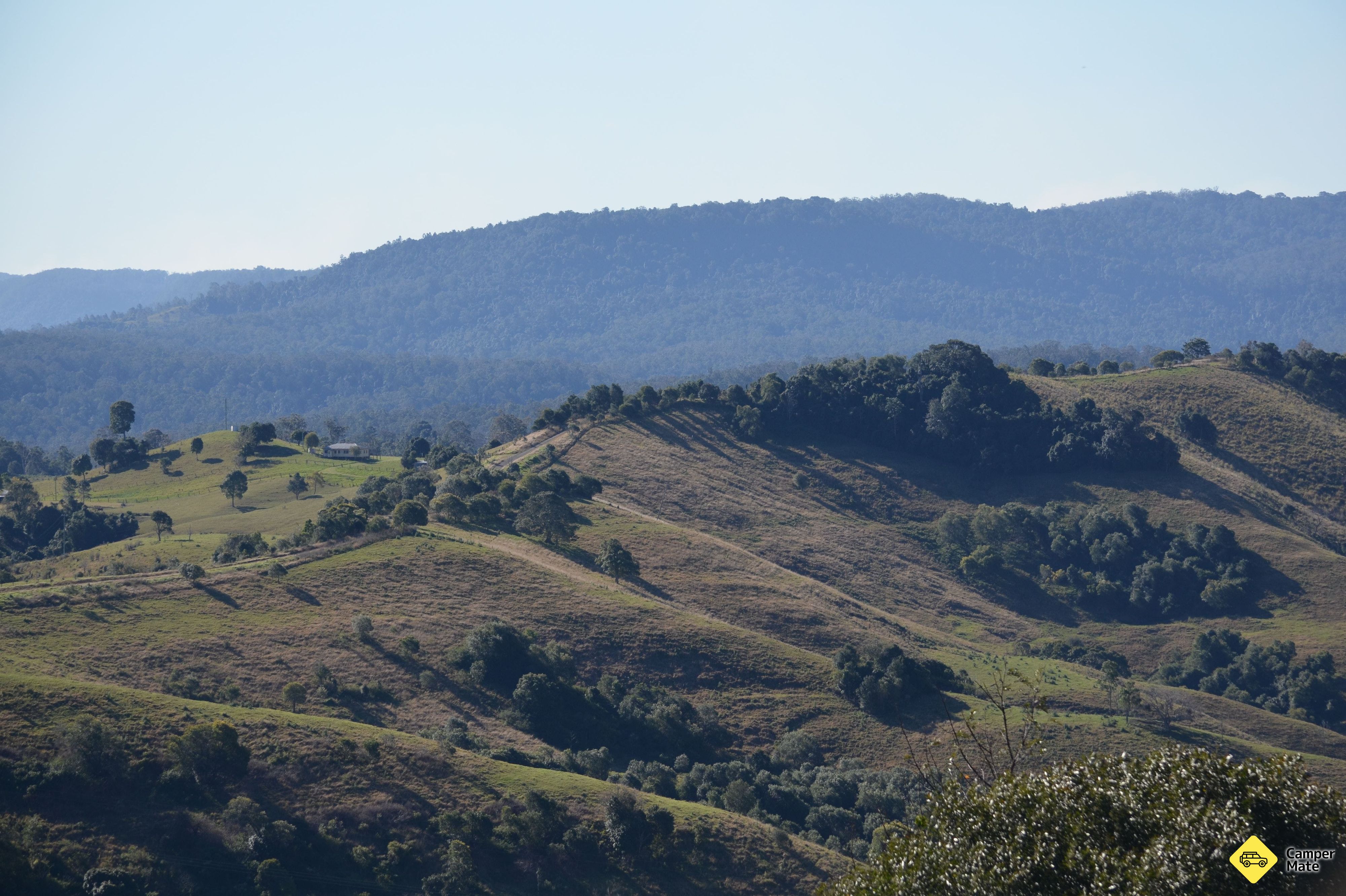 Malanganee Blick - Image 3