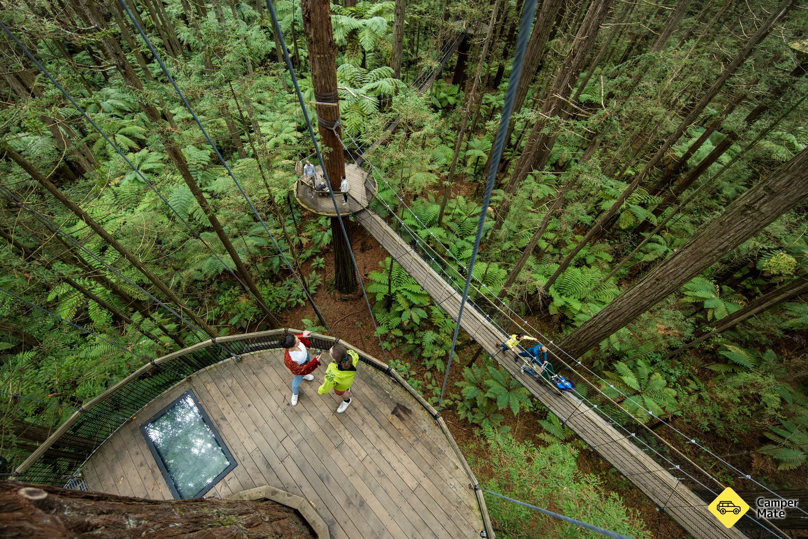 雷德伍兹 Treewalk & Redwoods Altitude 酒店