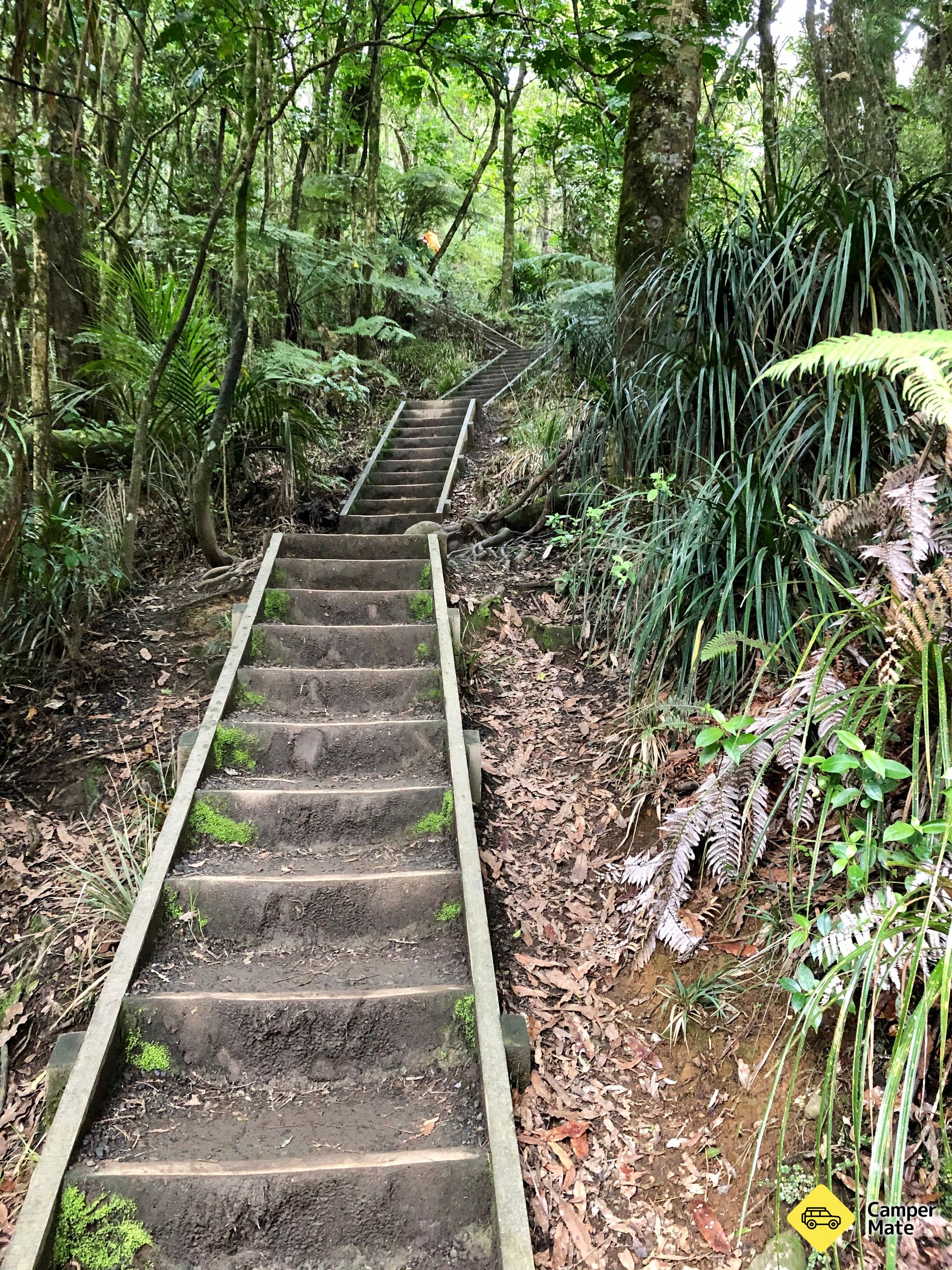 Hakarimata Scenic Reserve Walks - Image 2
