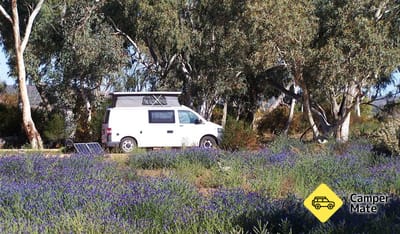 Homestead Creek Campground