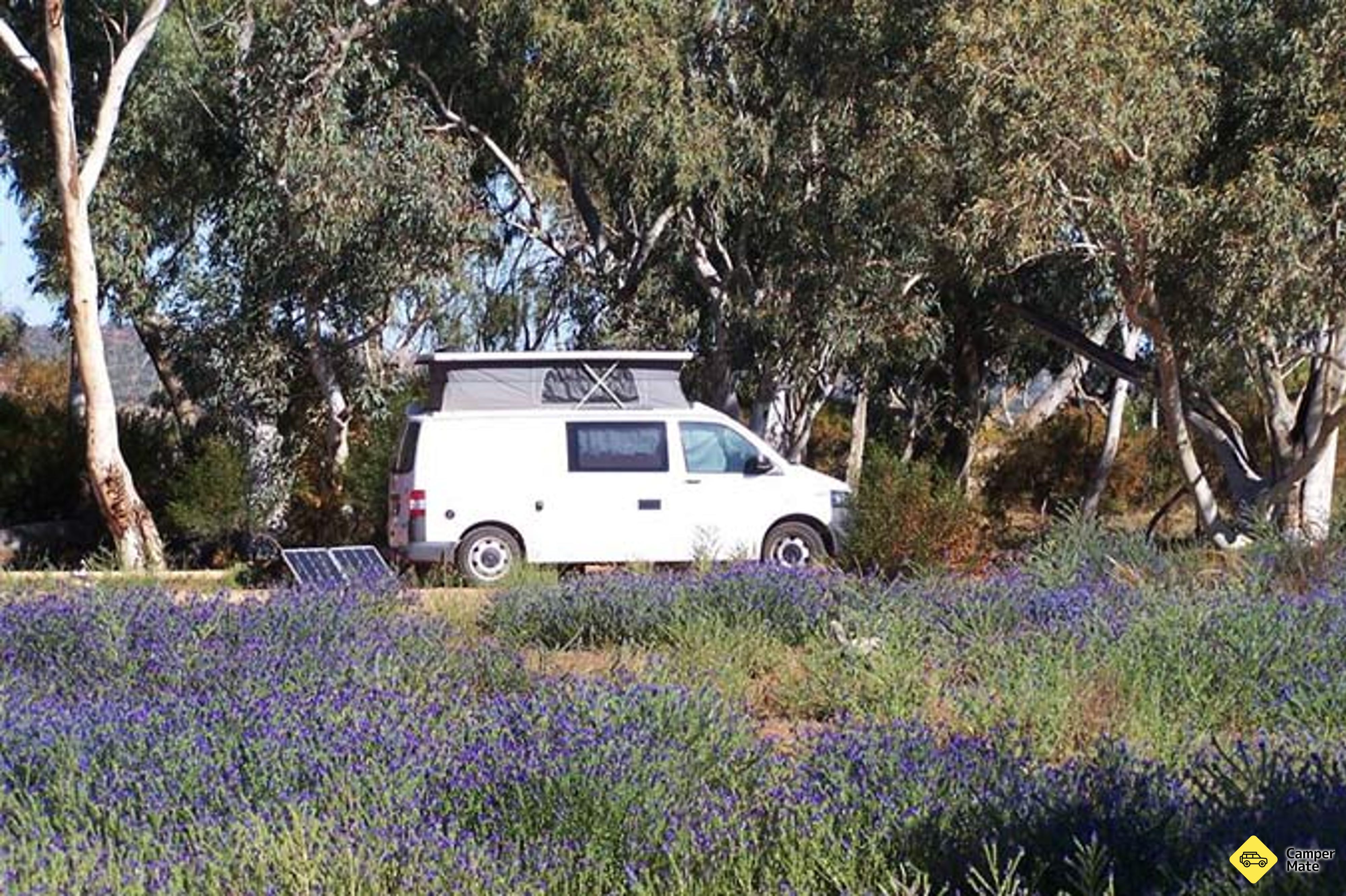 Homestead Creek Campground