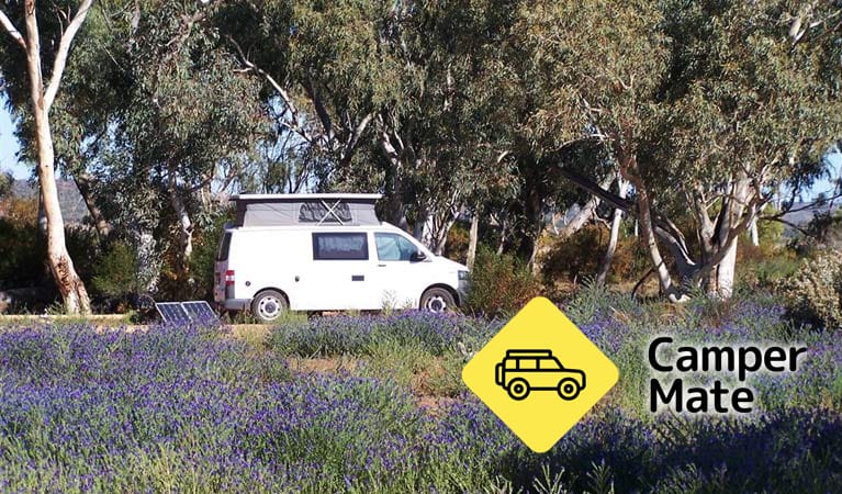 Homestead Creek Campground