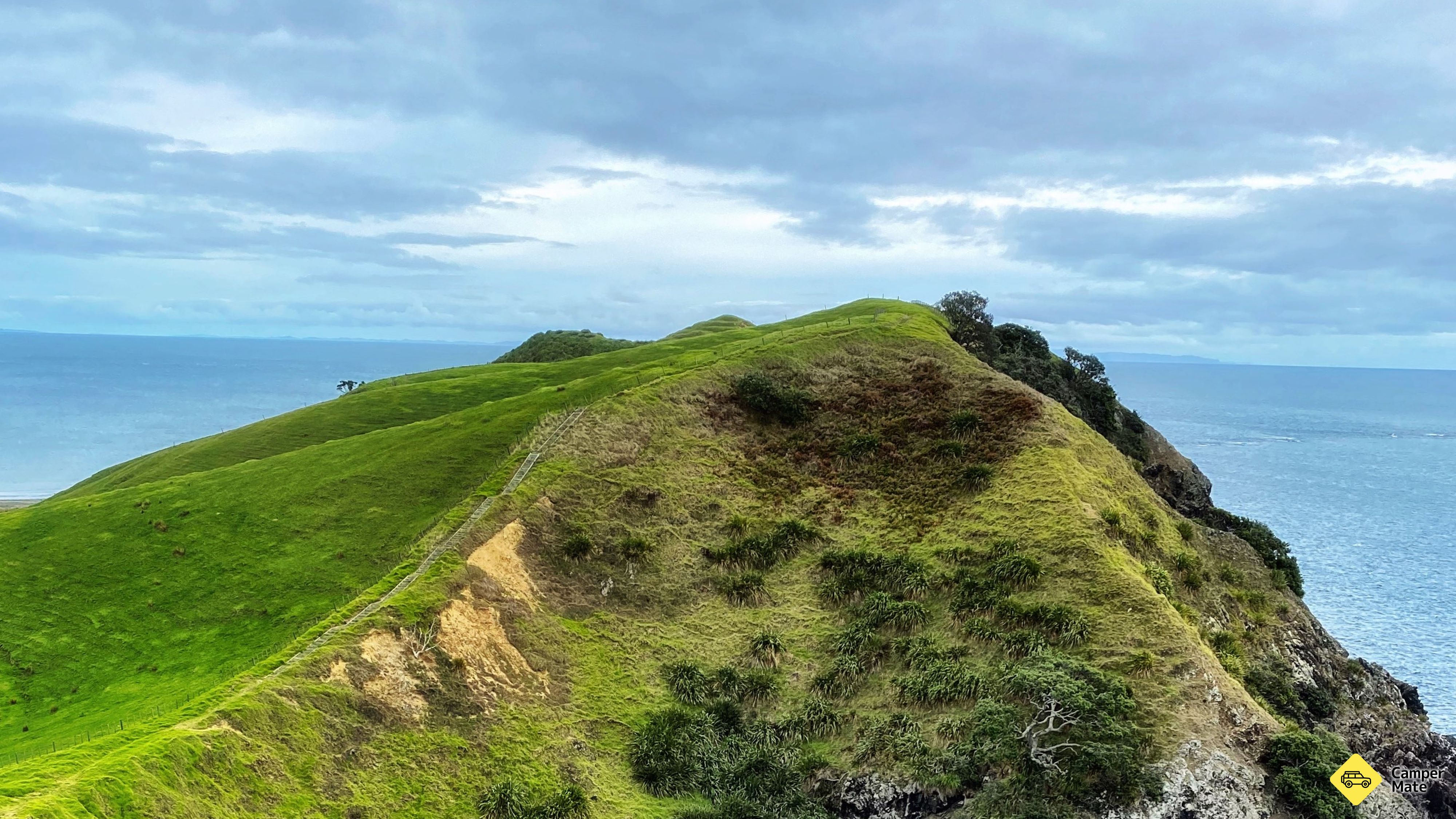 Muriwai Walk