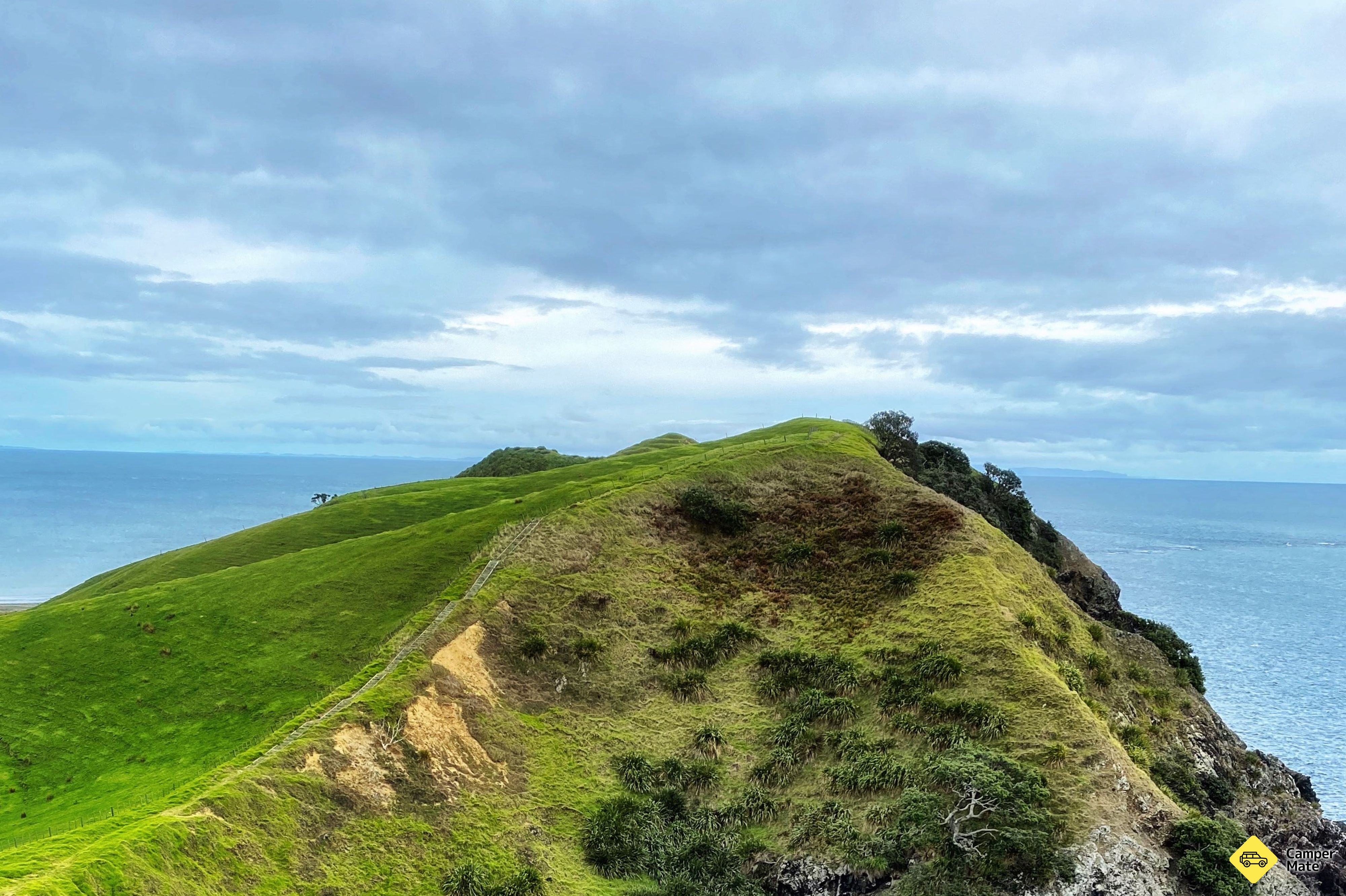 Muriwai Walk