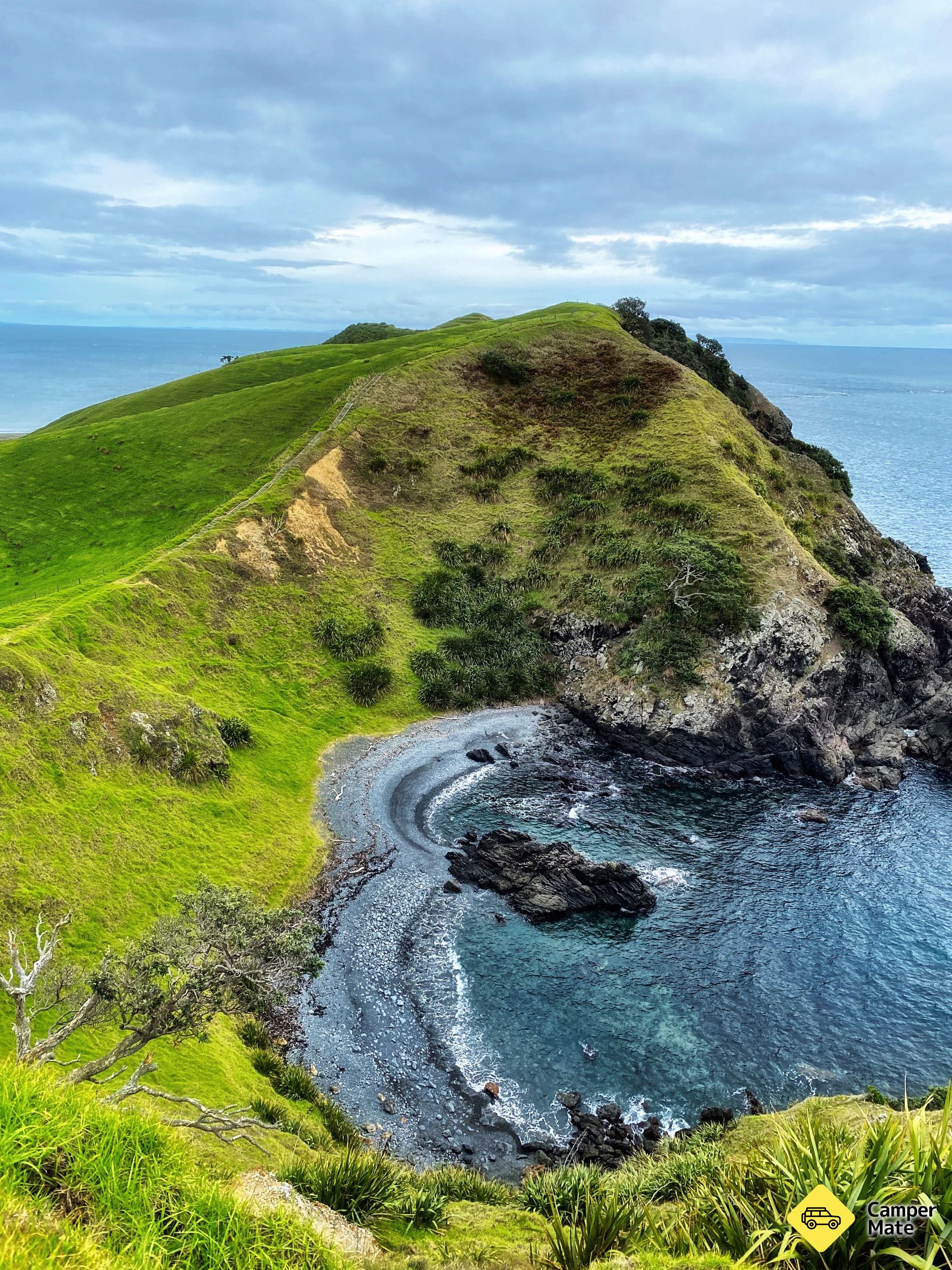 Muriwai Walk