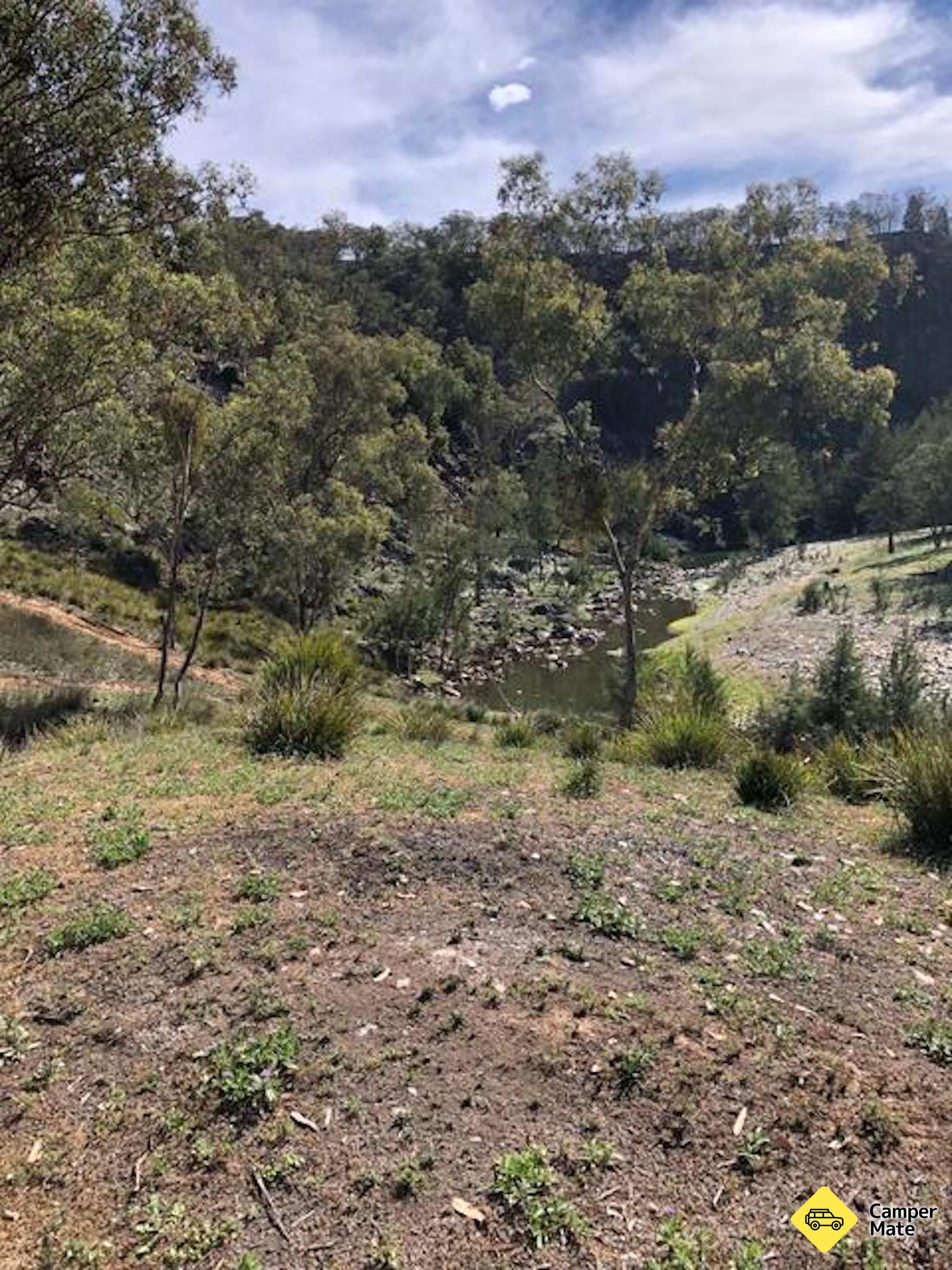 브랜드명 상품명 Mary Flynn Reserve - Bridle Track - Image 2
