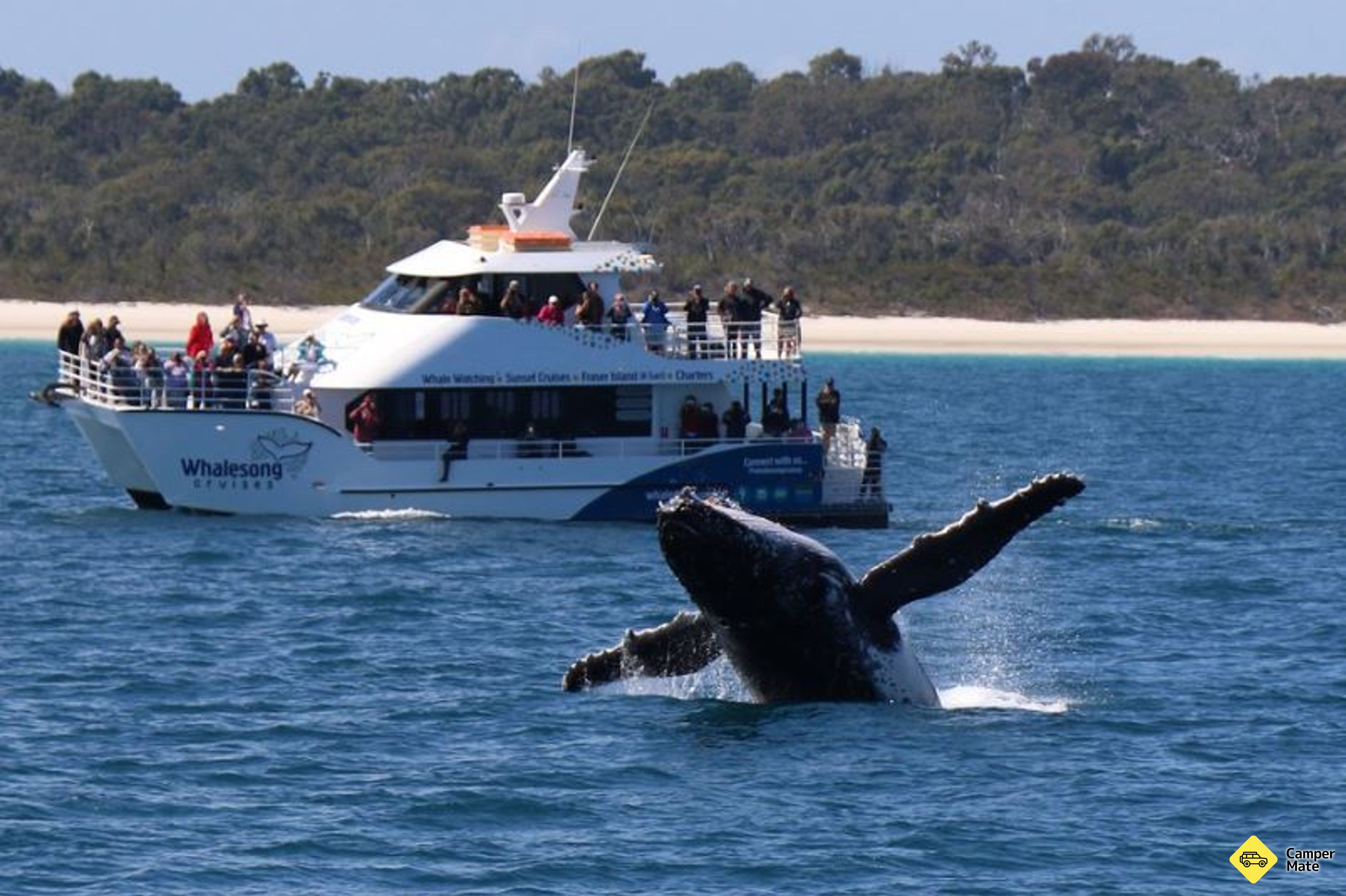 Restauranter i nærheden af Whalesong Cruises Hervey Bay - Image 3