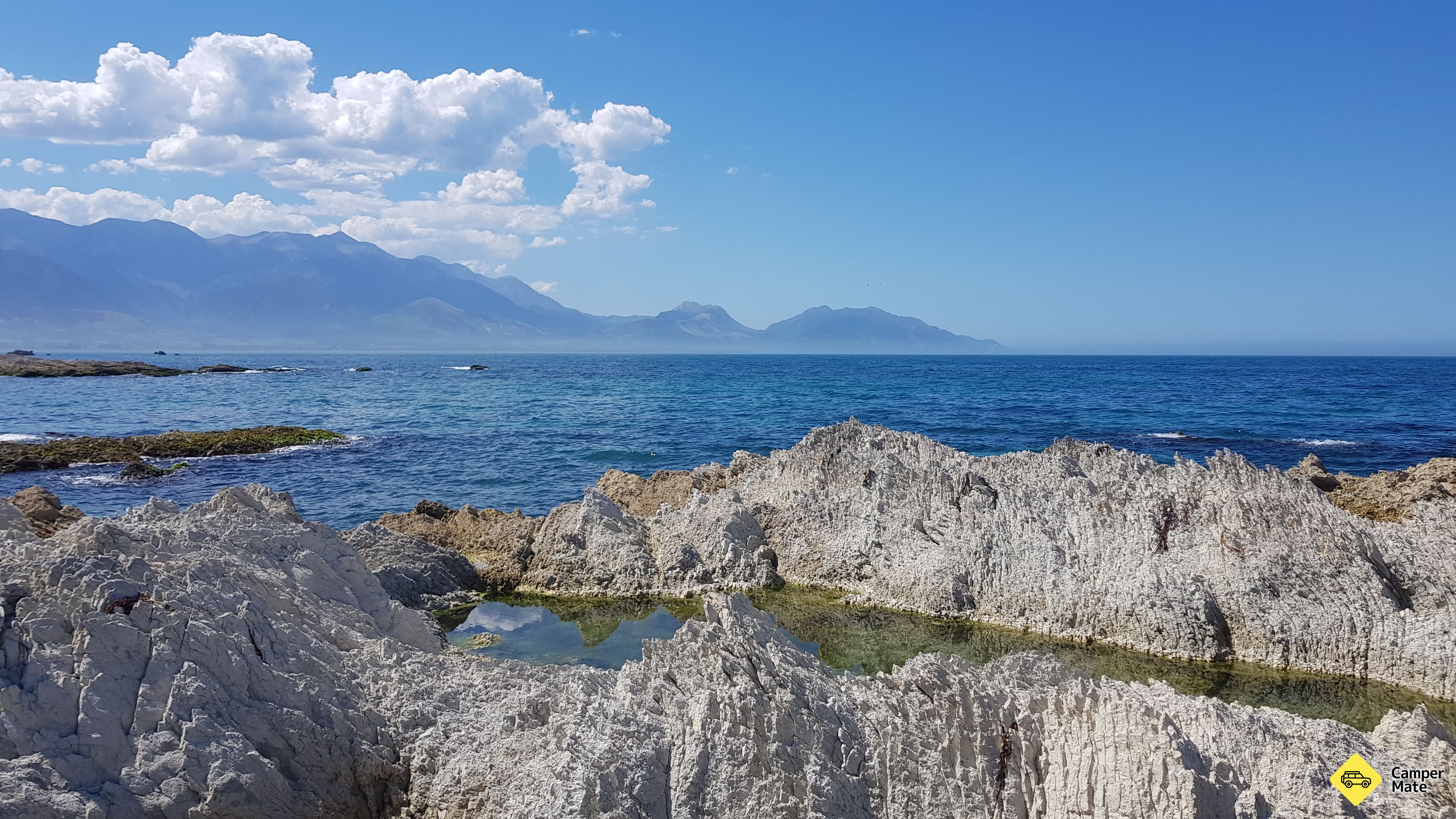 Kaikoura Seals Beach - Image 2