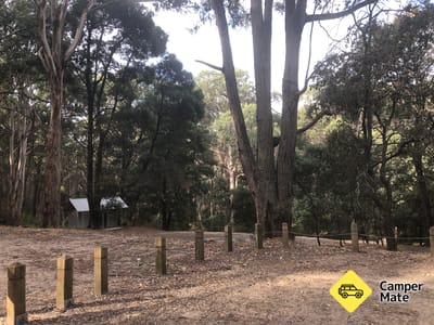 Freemans Camp - Tallarook State Forest