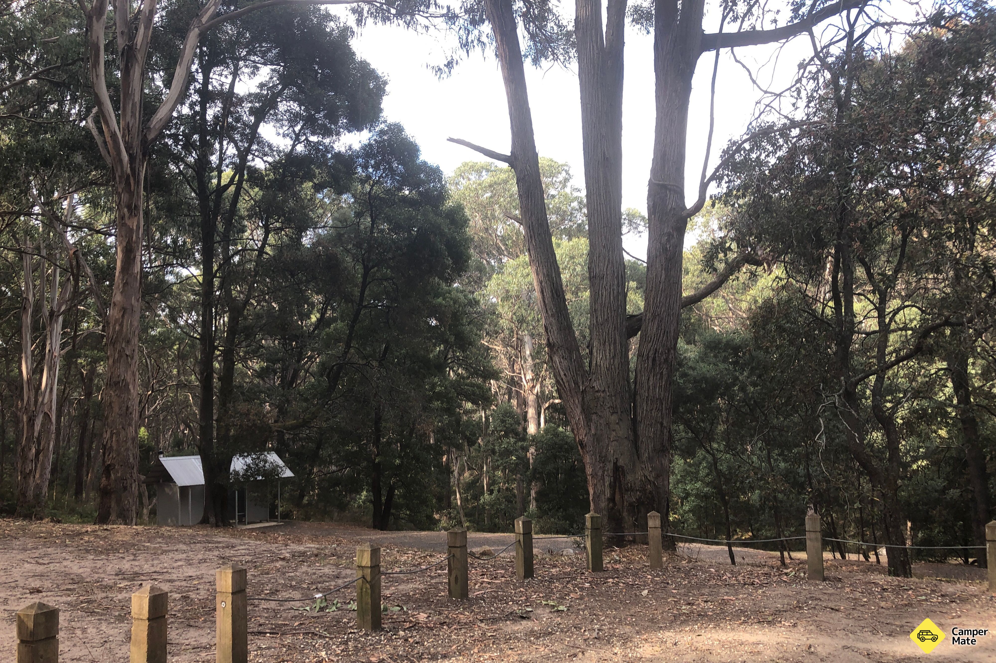 Freemans Camp - Tallarook State Forest