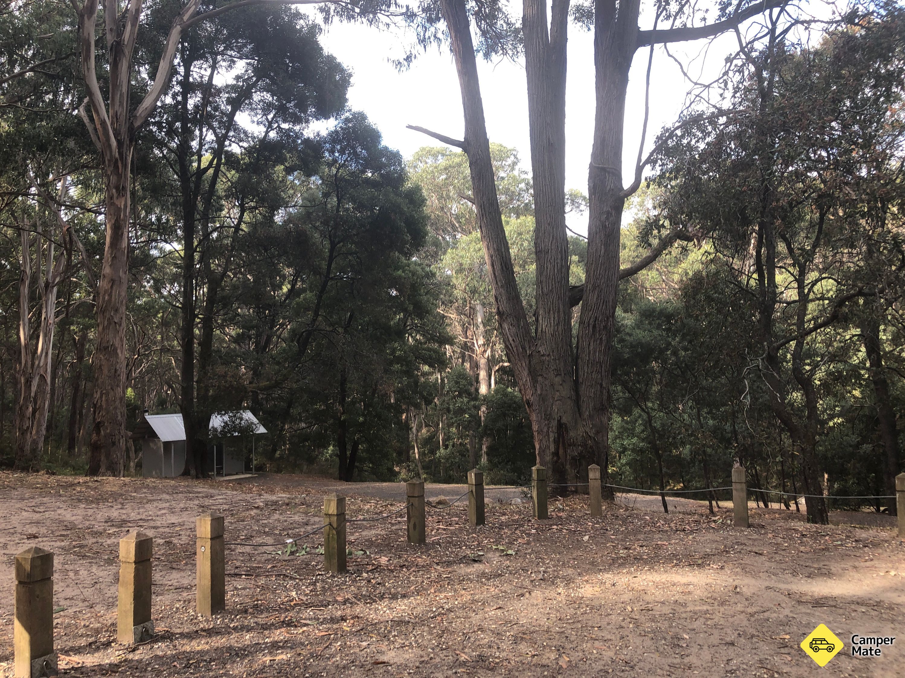 Freemans Camp - Tallarook State Forest