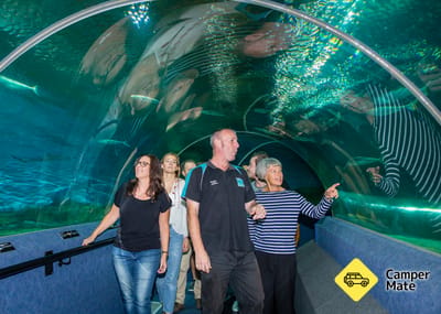 National Aquarium of New Zealand