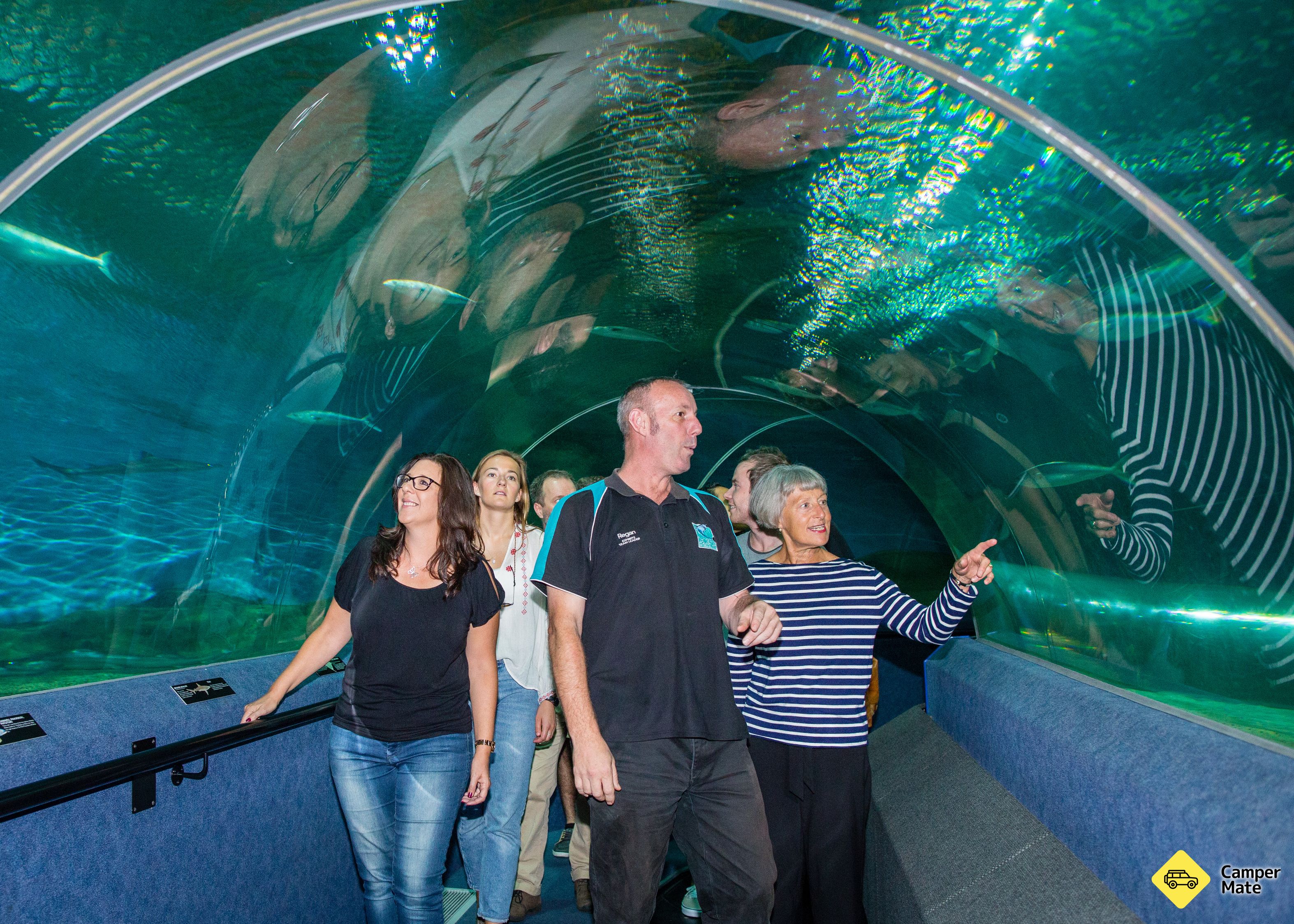 National Aquarium of New Zealand