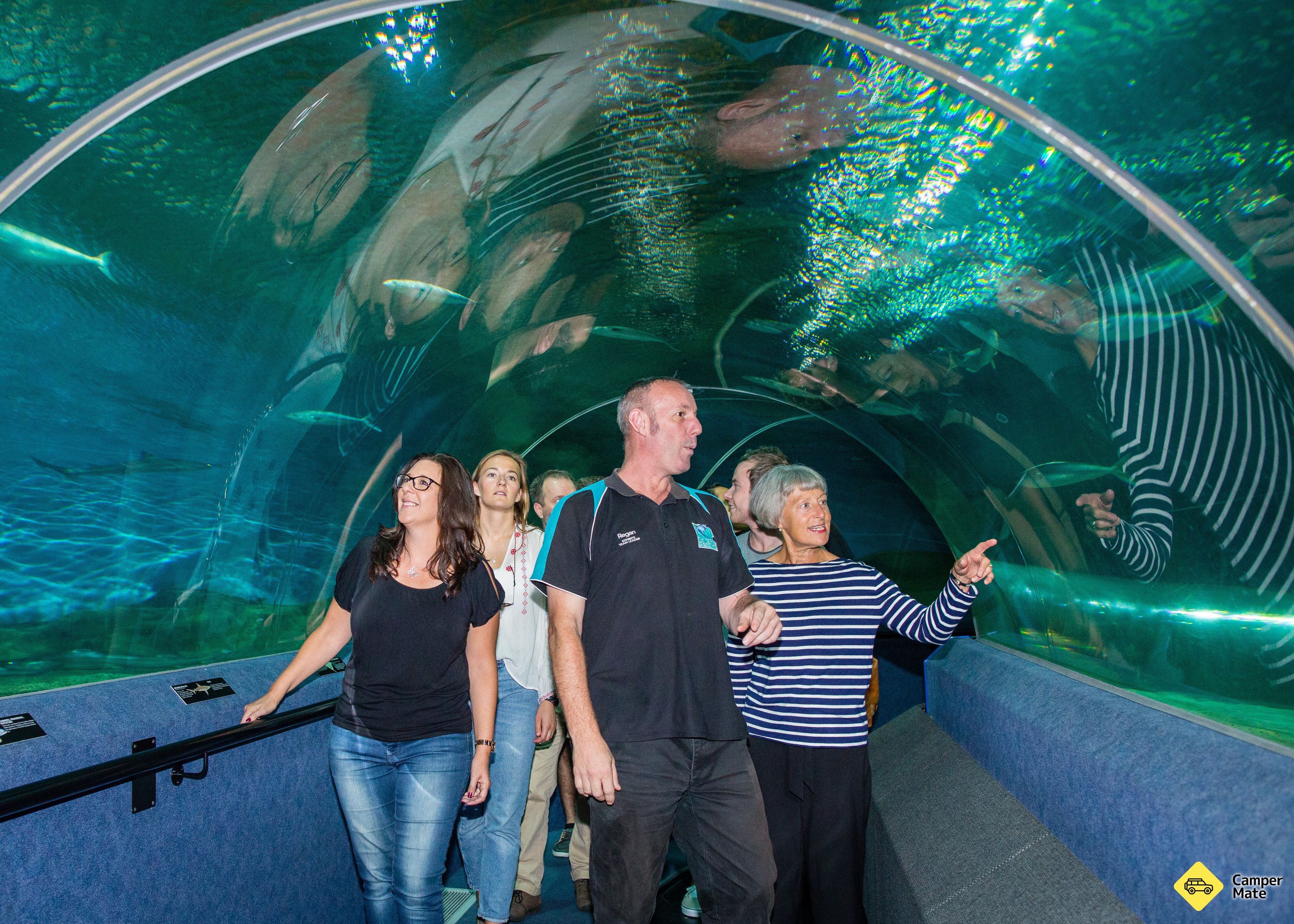National Aquarium of New Zealand