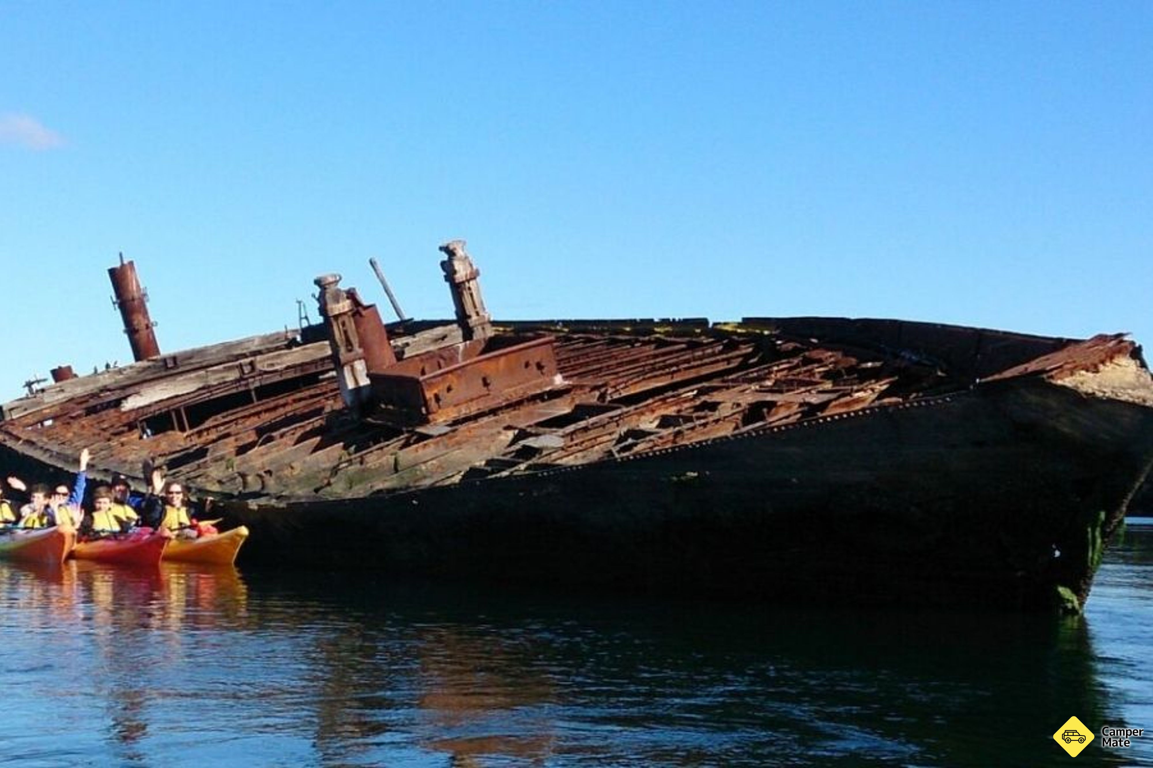 Dolphin Sanctuary & Ships Graveyard Kayak Tour - Image 3