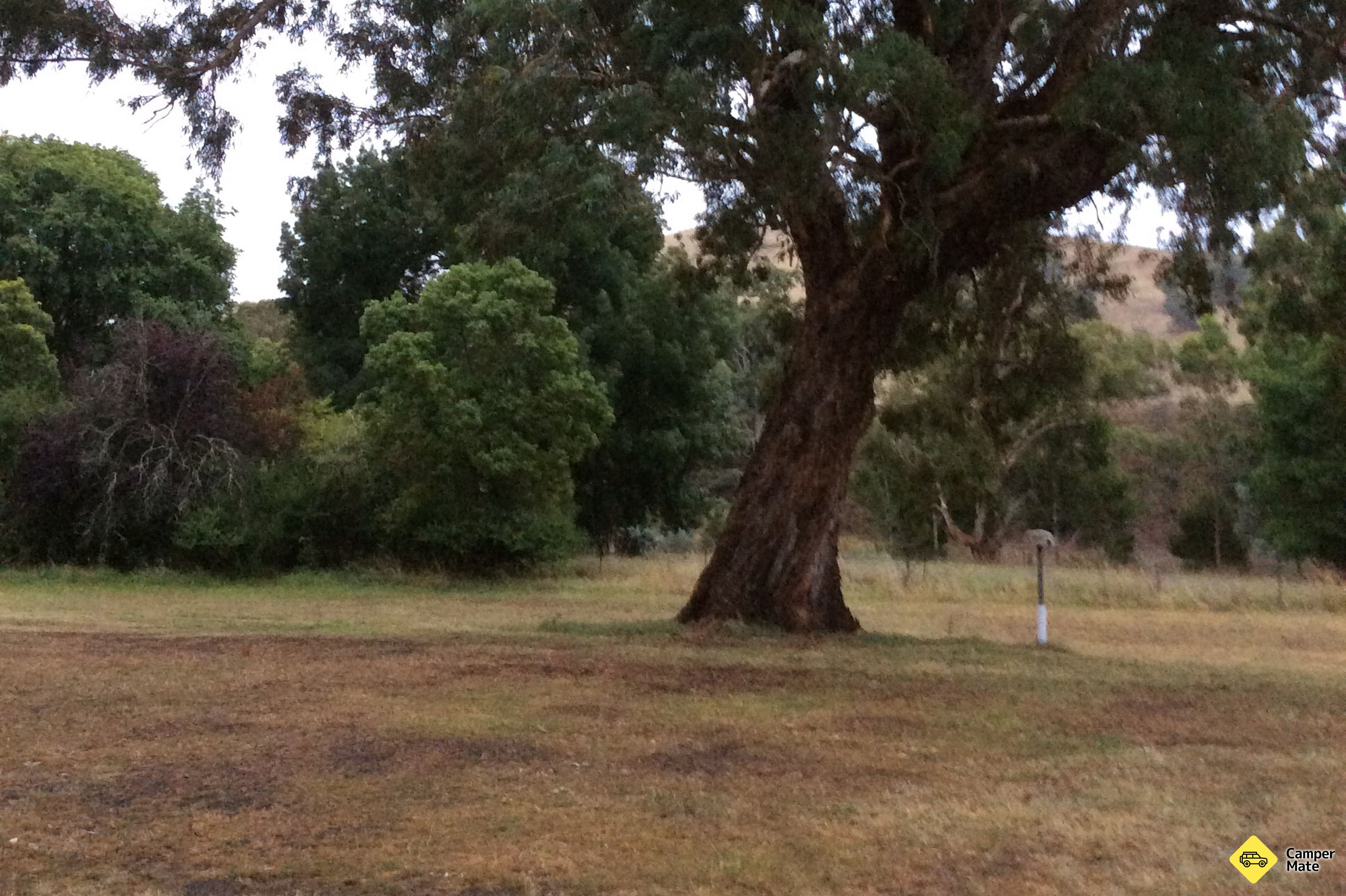 Ensay Recreation Ground - Image 2